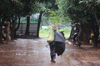 ကရင်နီ စစ်ရှောင်များ တုပ်ကွေးဒဏ် ခံနေရဆဲ သတင်းနှင့် မီဒီယာ ကွန်ရက်။ ၂၀၂၄ ခုနှစ်၊ အောက်တိုဘာလ ၁၈ ရက်။ ကရင်နီပြည်၊ ဒီးမော့ဆိုမြို့ အနောက်ဘက်ခြမ်းတွင် မိုးဦးရာသီမှ စတင်ဖြစ်ပွားခဲ့သည့် ရာသီတုပ်ကွေး ရောဂါ ယနေ့ချိန်ထိ ဆက်လက်ဖြစ်ပွား နေသည်ဟု ဒေသခံများနှင့် စစ်ဘေးရှောင် ပြည်သူများက ပြောသည်။