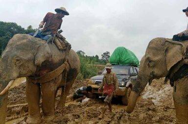 တနိုင်း-မြစ်ကြီးနား ကားခ လေးဆတက် 