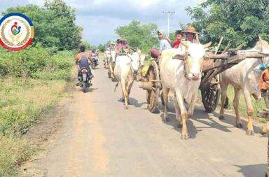 ပုလဲ ဒေသခံတစ်သောင်းခန့် စစ်ရှောင်နေရ
