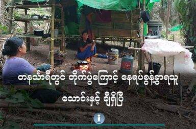 တနင်္သာရီတွင် တိုက်ပွဲကြောင့် နေရပ်စွန့်ခွာရသူ သောင်းနှင့် ချီရှိပြီ   သတင်းနှင့် မီဒီယာ ကွန်ရက်။ ၂၀၂၅ ခုနှစ်၊ ဇွန်လ ၅ ရက်။   တနင်္သာရီတိုင်းတွင်းက တိုက်ပွဲများကြောင့် နှစ်လအတွင်း နေရပ်စွန့်ခွာ ထွက်ပြေးတိမ်းရှောင်ရသူ ခုနှစ်သောင်းခွဲ အထက် ရှိသွားပြီဟု မွန်ပြည် လူ့အခွင့်အရေး ဖောင်ဒေးရှင်း (HURFOM) က ပြောသည်။   ၂၀၂၅ ဧပြီလမှ စ၍ တနင်္သာရီတိုင်းအတွင်း စစ်ကောင်စီတပ်နှင့် ဒေသခံ တော်လှန်ရေးတပ်တို့ကြား တိုက်ပွဲများ ပြင်းထန်းမှုကြောင့် ဒေသခံပြည်သူ စစ်ဘေးတိမ်းရှောင်နေရသည်ဟု မွန်ပြည် လူ့အခွင့်အရေး ဖောင်ဒေးရှင်း (HURFOM) ဒါရိုက်တာ နိုင်အဲမွန်က ပြောသည်။   “ဒေသခံပြည်သူ ထွက်ပြေးတိမ်းရှောင်မှုတွေက မနှစ်ကထက်စာရင် ပိုများလာတယ်။ ကျနော်တို့ တွက်တာ တော့ (၇) သောင်း၊ (၈) သောင်း ပေါ့နော် အနည်းဆုံးတွက်ထားတာအဲ့ဒါက။ အများဆုံးကတော့ ကျနော် ထင်တယ် တစ်သိန်းကျော်ဗျ။ ကျနော်တို့က လက်ဆုပ်လက်ကိုင် မပြနိုင်လို့သာ မပြောတာ။ သွားရေးလာရေး ခက်ခဲတာလည်း တစ်ကြောင်း၊ အတည်ပြုမှု ရယူတဲ့ဟာလည်း ခက်ခဲတယ်လေ။”   လက်ရှိတွင် တနင်္သာရီတိုင်းထဲက လောင်းလုံးမြို့နယ်၊ ရေဖြူမြို့ အရှေ့မြောက်ဘက်၊ ထားဝယ် အရှေ့ဘက်ခြမ်း၊ တောင်ဘက်ခြမ်းနှင့် ‌သရက်ချောင်းမြို့နယ်တို့တွင် ဒေသခံတော်လှန်ရေး ပူးပေါင်းတပ်များနှင့် စစ်ကောင်စီတပ် တို့ တိုက်ပွဲများ ဖြစ်ပွားလျှက်ရှိသည်။   နိုင်အဲမွန်က “ပြီးခဲ့တဲ့ နှစ်ပတ် သုံးပတ်ကလည်း တိုက်ပွဲဖြစ်ပွားတာရှိတယ်။ လေကြောင်း တိုက်ခိုက်မှုတွေ လည်း ရှိတယ်။ တိုက်ပွဲတွေက ဆက်နေတဲ့ သဘောမှာရှိတယ်။ အလုံးအရင်း နေ့တိုင်း ပြင်းပြင်းထန်ထန် ဖြစ် ပွားနေတာမျိုး၊ စခန်းသိမ်းတိုက်ပွဲ ဖြစ်ပွားနေတာမျိုး မဟုတ်ဘဲနဲ့ သူတို့ နယ်မြေစိုးမိုးရေးကို အဓိက ပစ်မှတ် ထားပြီးတော့ တိုက်ပွဲဖြစ်နေတဲ့ သဘောရှိတယ်” ဟု ပြောသည်။   တိုက်ပွဲကြောင့် ဒေသခံပြည်သူများသည် ရေဖြူမြို့၊ ထားဝယ်မြို့နှင့် လောင်းလုံးမြို့နယ်ထဲက ကျောက်ဖြူ၊ ကြက်ယက်တွင်း၊ သဝင်ကျေးရွာများတွင် ထွက်ပြေးခိုလှုံနေကြသည်ဟု ဆိုသည်။   တနင်္သာရီတိုင်းအတွင်းရှိ စစ်ဘေးရှောင်ဒေသခံများ၏ အခြေအနေကို နိုင်အဲမွန်က “လောလောဆယ် အင်မတန် ခက်ခဲတဲ့အခြေအနေမှာရှိတယ်။ ပြဿနာက တိုက်ပွဲကမရပ်သွားပဲနဲ့ ကြိုကြား ကြိုကြား ဆက်ပြီးဖြစ်နေ တယ်။ တစ်နေရာထဲမှာ ဖြစ်တာလည်း မဟုတ်ဘူး။ ဆိုတဲ့ခါကြတော့ တစ်ချို့က ဘယ်သွားလို့ ဘယ်ပြေးရမလဲ ဆိုတဲ့ အခြေအနေမှာတော့ ရှိပါတယ်” ဟု ပြောသည်။   ထို့အတူ မြေပြင်တွင် တိုက်ပွဲများ ဆက်တိုက်ဖြစ်နေသကဲ့သို့ မိုးရာသီကာလလည်း ဖြစ်သည့်အတွက် အဆိုပါ စစ်ဘေးရှောင် ပြည်သူများအတွက် အမိုးအကာများ၊ ဆေးဝါးနှင့် စားနပ်ရိက္ခာများ အထူးလိုအပ်သည်ဟု (HURFOM) ဒါရိုက်တာ နိုင်အဲမွန်က ပြောသည်။   ဓါတ်ပုံ - နွေဦးမေတ္တာ စစ်ရှောင်ကူညီရေး အဖွဲ့