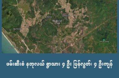 ဖမ်းဆီးခံ နဘုလယ် ရွာသား ၄ ဦး ပြန်လွတ်၊ ၄ ဦးကျန်   သတင်းနှင့် မီဒီယာ ကွန်ရက်။ ၂၀၂၅ ခုနှစ်၊ ဩဂုတ်လ ၇ ရက်။   စစ်ကော်မရှင်တပ်၏ ဖမ်းဆီးခြင်းခံရသူ နဘုလယ် ဒေသခံရွာသား ၈ ဦး အနက် ၄ ဦးကို ပြန်လည် လွတ်မြောက် လာပြီဟု နီးစပ်သူများက ပြောသည်။   ကျန်သည့် ၄ ဦးမှာ သြဂုတ်လ ၅ ရက်နေ့ ညနေပိုင်း အချိန်အထိ ပြန်လည်လွတ်မြောက်လာကြခြင်း မရှိကြသေး ဘူးဟု ဆိုသည်။   ထားဝယ် အထူးစီးပွားရေးဇုန် ဧရိယာအတွင်းရှိ ရေနက်ဆိပ်ကမ်း စစ်စခန်းသို့ ရောက်ရှိနေသည့် စစ်ကော်မရှင် တပ်ဖွဲ့က ဩဂုတ်လ ၂ ရက်နေ့ နံနက်ပိုင်းတွင် နဘုလယ်ဒေသထဲက ပရဒတ်ကျေးရွာအတွင်းသို့ ဝင်ရောက်ခဲ့ ပြီးနောက် ရွာသားများကို တစ်ရွာဝင် တစ်ရွာထွက် ဖမ်းဆီးသွားခဲ့ခြင်း ဖြစ်သည်။   အသက် ၄၀ ခန့်အရွယ် ပရဒတ် ရွာသားတစ်ဦးက “စစ်တပ်ထဲ ခေါ်ဆောင်တဲ့အချိန် မျက်နှာတွေ ပိတ်ပြီးမှ ခေါ် သွားတာလို့ လွတ်မြောက်လာတဲ့ သူတွေက ပြန်ပြော ပြတယ်။ တပ်ထဲရောက်တော့ ကြိုးနဲ့ရိုက်တယ်။ PDF တွေကို မြင်ဖူးတယ် မဟုတ်လားလို့ မေးတယ်။ သူတို့ စခန်းရှိတဲ့နေရာက ဘယ်နေရာမှာလဲ၊ သူတို့ ဘယ်လို သွားလာနေထိုင်ကြသလဲ ဆိုပြီးမေးတယ်။ ပြန်လွှတ်ပေးတော့လည်း မျက်နှာပိတ်သေးတယ်လို့ ပြောပြကြ တယ်” ဟု ပြောသည်။   စစ်ကော်မရှင်တပ်က ဖမ်းဆီးသွားသူများမှာ မယင်းကြီးရွာသား ၂ ဦးနှင့် ပရဒတ်ရွာသား ၆ ဦးတို့ ဖြစ်ပြီး မယင်း ကြီးရွာသား ၁ ဦး နှင့် ပရဒတ်ရွာသား ၃ ဦးတို့မှာ ဩဂုတ်လ ၄ ရက်နေ့၊ ညနေ ၃ နာရီ အချိန်ခန့်က ပြန်လွတ်လာ သည်ဟု ဆိုသည်။   ပြန်လွှတ်လာသည့် ရွာသားများ၏ ပြောပြချက်အရ ရိုက်နှက် နှိပ်စက်ခံခဲ့ကြရသည်။   ထို့အပြင် ၎င်းတို့အား ပြည်သူ့ကာကွယ်ရေး တပ်ဖွဲ့ (PDF) များနှင့် ဆက်စပ်မှု ရှိမရှိနှင့် PDF အဖွဲ့များ၏ လှုပ်ရှားသွား လာမှု အခြေအနေများကို မေးမြန်းစစ်ဆေးခဲ့သည်ဟု ဆိုသည်။   စစ်ကော်မရှင်တပ်မှ ဩဂုတ်လ ၂ ရက်နေ့တွင် နဘုလယ်ဒေသရှိ မယင်းကြီးနှင့် ပရဒတ်ကျေးရွာထဲသို့ စစ်ကြောင်းထိုး ဝင်ရောက်ခဲ့ပြီးနောက် ရွာသားများကို ဖမ်းဆီးသွားခြင်း ဖြစ်သည်။   ထိုနေ့က ဖမ်းဆီးခံရသူ အရေအတွက်မှာ ရွာသား ၂၀ ခန့်ရှိသည်ဟု ဆိုကြသည်။   ဖမ်းဆီးခံရသူများအနက် သက်ကြီးပိုင်းနှင့် အမျိုးသမီးများကို ပြန်လွှတ်ပေးခဲ့ကာ ရွာသား ၈ ဦးကိုမူ ရေနက်ဆိပ် ကမ်းရှိ စစ်တပ်စခန်း နေရာသို့ ဖမ်းဆီးခေါ်ဆောင်သွားခြင်း ဖြစ်သည်။   ဆက်လက် ဖမ်းဆီးခံထားရသည့် ရွာသား ၄ ဦးအတွက် ၎င်းတို့၏ မိသားစုဝင်များက စိုးရိမ်နေရသည်။