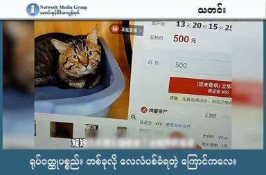 ရုပ်ဝတ္ထုပစ္စည်း တစ်ခုလို လေလံပစ်ခံရတဲ့ ကြောင်ကလေး   သတင်းနှင့် မီဒီယာ ကွန်ရက်။ ၂၀၂၅ ခုနှစ်၊ ဩဂုတ်လ ၂၈ ရက်။   ဒီတခါတော့ “Coal Ball” (မီးသွေးလုံး) လို့ လူအများက နာမည်ပေးထားတဲ့ ကြောင်လေး အကြောင်း ပြောပြ မှာပါ။   မီးသွေးလုံး ဆိုတဲ့ ကြောင်လေးက အသက် သုံးနှစ် အရွယ် တရုတ် လီဟွာ အမျိုးအစား ကြောင်လေး ဖြစ်ပါ တယ်။   ဩဂုတ်လ ၂၃ ရက်နေ့ကတော့ သူ့ကို တရုတ်နိုင်ငံ အရှေ့ပိုင်းမှာရှိတဲ့ ဘဏ်တစ်ခုက လေလံပစ်တဲ့ ပွဲမှာ တခြား ပစ္စည်းတွေနည်းတူ လေလံ ပစ္စည်းတစ်ခု အနေနဲ့ လေလံ ပစ်ခဲ့တာပါ။   ကြောင်ကလေးရဲ့ ပိုင်ရှင်က ဘဏ်ကို အကြွေးပေးစရာ ရှိတာတွေ မပေးနိုင်လို့ မီးသွေးလုံးလေးကို ပိုင်ရှင်ရဲ့ ပိုင်ဆိုင်မှု ထဲက တစ်ခု အဖြစ် ဘဏ်က သိမ်းယူ ထားခဲ့တာပါ။   သူ့ကို ဒေါ်လာ ၁၀၀ နဲ့ တန်ဖိုး ဖြတ်ပြီး အကြွေးရဲ့ အစိတ်အပိုင်း ငယ်တစ်ခု အဖြစ် သိမ်းယူခဲ့တာ ဖြစ်ပါတယ်။   ကြောင်ကလေး “မီးသွေးလုံး” ကြောင့် အဲဒီ လေလံပွဲကို လူတွေ စိတ်ဝင်စားသွားကြပြီး အွန်လိုင်း လေလံပွဲကို ဝင်ရောက်ကြည့်ရှုသူ ၄၅၀,၀၀၀ ကျော်သွားခဲ့ပါတယ်။   ကြောင်လေးကိုလည်း လိုချင်သူတွေ များသွားပြီး ကြိုတင်စပေါ်ငွေ ယွမ် ၅၀ စီ ပေးထားတဲ့ ဝယ်ယူလိုသူက ၅၀၀၀ ရှိခဲ့ပါတယ်။   ကြောင်ကလေးကို လေလံပစ်တဲ့ သတင်းက လူအများကြားမှာ ပြန့်နှံ့သွားပြီး နောက်ဆုံးမှာ တရားရုံးက သိသွားပြီးတဲ့နောက် ကြောင်ကလေးကို ပစ္စည်းတစ်ခုအနေနဲ့ လေလံ ပစ်တာကို တရားရုံး အမိန့်နဲ့ ဖျက်သိမ်း ခဲ့ပါတယ်။   နောက်ဆုံးမှာတော့ ကြောင်ကလေးကို လူတစ်ယောက်က တာဝန်ခံပြီး မွေးစားဖို့ ခေါ်သွားခဲ့တယ်လို့ Hongxing (ဟောင်ဇင်း) သတင်းဌာနက ဖော်ပြပါတယ်။   သူ့ကို လိုချင်လို့ စဘော်ငွေ ပေးထားသူတွေကိုတော့ လေလံပွဲက ငွေပြန်အမ်းပေးခဲ့တယ်လို့ ဆိုပါတယ်။