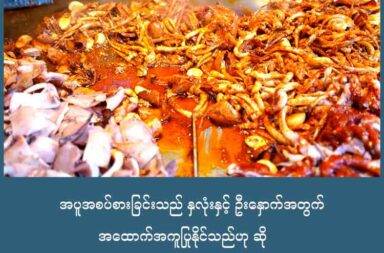 အပူအစပ်စားခြင်းသည် နှလုံးနှင့် ဦးနှောက်အတွက် အထောက်အကူပြုနိုင်သည်ဟု ဆို သတင်းနှင့် မီဒီယာ ကွန်ရက်။ ၂၀၂၅ ခုနှစ်၊ စက်တင်ဘာလ ၁၁ ရက်။ အပူအစပ် စားခြင်းသည် နှလုံးကျန်းမာရေးအတွက် အထောက်အကူပြုနိုင်သည်ဟု တရုတ်နိုင်ငံ စီချွမ်ပြည်နယ်တွင် ပြုလုပ်ခဲ့သည့် သုတေသန တစ်ခုက တွေ့ရှိခဲ့သည်။ သုတေသနသည် လူပေါင်း ၅၄,၀၀၀ ကျော်ကို စောင့်ကြည့်လေ့လာခဲ့ခြင်းဖြစ်ပြီး၊ အပူအစပ်ကို ပုံမှန်စားသုံး သူများသည် နှလုံးနဲ့ ဦးနှောက်ဆိုင်ရာ ရောဂါဝေဒနာများ ဖြစ်ပွားနိုင်ခြေ ပိုနည်းသည်ကို တွေ့ရသည်ဟု Zhonghua Liu Xing Bing Xue Za Zhi ကျန်းမာရေး သိပ္ပံ ဂျာနယ်တွင် ဖော်ပြထား သည်။ တစ်ပတ်တွင် ၆ ရက်မှ ၇ ရက်အထိ အပူအစပ်ကို စားသုံးသူများသည် နှလုံးသွေးကြောကျဉ်းရောဂါနှင့် လေဖြတ်နိုင်ခြေ ပိုနည်းသည်ဟု သုတေသနက ဆိုသည်။ အပူအစပ် စားသုံးမှုများလေလေ ရောဂါဖြစ်နိုင်ခြေ ပိုနည်းလေလေဟုလည်း ဆိုထားသည်။ ငရုတ်သီးမှုန့်ကဲ့သို့ အပူအစပ်အစားအစာများတွေ အဓိကပါဝင်ပစ္စည်းတစ်ခုမှာ Capsaicin (ကပ်ဆိုင်စင်) ဟုခေါ်သော ဓာတ်တစ်မျိုး ဖြစ်သည်။ ထိုဓာတ်သည် လူများ အပူအစပ်စားသည့်အခါ ခံစားရသည့် ပူလောင်သော ခံစားချက်ကို ဖြစ်စေသည်။ ကပ်ဆိုင်စင်ဟာ ခန္ဓာကိုယ်ထဲရှိ အာရုံကြောများနှင့် သွေးကြောနံရံများတွင် ရှိသော အာရုံခံစနစ်ကို လှုံ့ဆော်ပေးသည်။ ထိုသို့ ပုံမှန်လှုံ့ဆော်ပေးသည့်အခါ သွေးကြောများကို ကျယ်စေပြီး သွေးစီးဆင်းမှုကို ကောင်းမွန်စေသည့် Nitric Oxide (နိုက်ထရစ်အောက်ဆိုဒ်) ဓာတ် ထုတ်လုပ်မှုကို တိုးမြှင့်ပေးသည်။ ထိုဖြစ်စဉ်ကြောင့် သွေးပေါင်ချိန်ကို ကျစေပြီး သွေးကြော နံရံများကို ပိုမိုသန်မာစေသည်။ သွေးကြောများ သန်မာပြီး ပျော့ပြောင်းသည့်အခါ နှလုံး၏ အလုပ်ဝန်ကို လျော့ကျစေပြီး ရေရှည်တွင်  နှလုံးကျန်းမာရေးအတွက် အထူးအကျိုးပြုသည်ဟု ဆိုသည်။ သို့ဖြစ်ရာ အပူအစပ် စားသုံးခြင်းသည် ခံတွင်းလိုက်ရုံတင်သာမက နှလုံးသွေးကြောစနစ်ကိုပါ ကျန်းမာစေနိုင်သည်ဟု သုတေသီများက ဆိုသည်။
