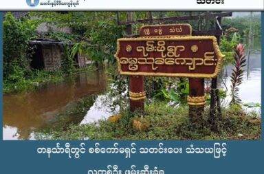 တနင်္သာရီတွင် စစ်ကော်မရှင် သတင်းပေး သံသယဖြင့် လူတစ်ဦး ဖမ်းဆီးခံရ သတင်းနှင့် မီဒီယာ ကွန်ရက်။ ၂၀၂၅ ခုနှစ်၊ အောက်တိုဘာလ ၁၆ ရက်။ မြိတ်ခရိုင်၊ တနင်္သာရီမြို့နယ်၊ ရမ်းဖိုကျေးရွာတွင် စစ်ကော်မရှင်တပ်အား သတင်းပေးဟု သံသယရှိသူ ဒေသခံတစ်ဦး ဖမ်းဆီးခံလိုက်ရသည်။ လက်နက်ကိုင်အဖွဲ့တစ်ခုမှ လာရောက် ဖမ်းဆီးခေါ်ဆောင် သွားကြောင်း ရွာသားများက ပြောသည်။ အဖမ်းခံရသူမှာ အသက် ၅၀ အရွယ်ရှိ ဦးမောင်ယု ဆိုသူ ဖြစ်ပြီး အောက်တိုဘာလ ၁၁ ရက်နေ့၊ နံနက် ၃ နာရီ အချိန်ခန့်တွင် ရမ်းဖိုကျေးရွာရှိ ၎င်း၏ ဥယျာဉ်ခြံထဲမှ လာရောက်ဖမ်းဆီးသွားခြင်းဖြစ်ကြောင်း သိရသည်။ အောက်တိုဘာလ ၁၄ ရက်နေ့အထိ ပြန်လွတ်မြောက်လာခြင်း မရှိသေးဘူးဟု ဆိုကြသည်။ ရမ်းဖိုရွာသားတစ်ဦးက “သူ့ဥယျာဉ်ထဲက တဲမှာ လက်နက်ကိုင်ဆောင်ထားတဲ့သူ ၅ ဦးက လာဖမ်းသွားတာပါ။ မိသားစုတွေလည်း အကုန်လုံးရှိတယ်၊ မေးမြန်းစရာ ရှိတယ်ဆိုပြီး လက်ကို ကြိုးတုပ်ပြီး ခေါ်သွားတာပါ" ဟု ပြောသည်။ မည်သည့် လက်နက်ကိုင် အဖွဲ့အစည်းက ဖမ်းဆီးသွားသည်ကို တိတိကျကျ မသိရသေးသော်လည်း အဖမ်းခံရသူ ဦးမောင်ယုသည် ရမ်းဖိုကျေးရွာအတွင်း တပ်စွဲထားသည့် စစ်ကော်မရှင်တပ်ဖွဲ့ဝင်များအတွက် စားနပ်ရိက္ခာများ ကို ဝယ်ယူထောက်ပံ့ပေးနေသူတစ်ဦး ဖြစ်ကြောင်း ဒေသခံများက ပြောဆိုကြသည်။ လက်ရှိတွင် ရမ်းဖိုကျေးရွာသား အများစုသည် စစ်ကော်မရှင်တပ်မှ တပ်စွဲထားခြင်းကြောင့် မြိတ်မြို့နှင့် အနီးအနားရှိ တောတောင်များအတွင်းသို့ စစ်ရှောင်တိမ်းရှောင်နေကြသည်မှာ ၂ နှစ်နီးပါးခန့် ရှိပြီဖြစ်သည်။ သို့သော်လည်း ဦးမောင်ယုတို့ မိသားစုမှာမူ စစ်ကြောင်းထိုးမှုများ ရှိနေသော်လည်း ထွက်ပြေးတိမ်းရှောင်ခြင်း မပြုဘဲ ၎င်းတို့၏ ဥယျာဉ်ခြံအတွင်း၌ပင် ဟန်မပျက် နေထိုင်လေ့ရှိခြင်းကြောင့် ၎င်းအား သတင်းပေးဟု သံသယရှိခဲ့ကြကြောင်း ဒေသခံများက ပြောသည်။ ဖမ်းဆီးခံရသူ ဦးမောင်ယုအား မည်သည့်နေရာသို့ ခေါ်ဆောင်သွားသည်၊ မည်သည့်အဖွဲ့အစည်းက ဖမ်းဆီးထား သည်ကိုမူ အောက်တိုဘာလ ၁၄ ရက်နေ့အထိ တိကျသေချာစွာ မသိရသေးပေ။