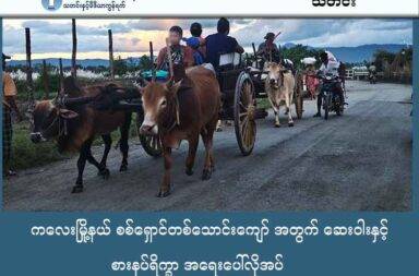 ကလေးမြို့နယ် စစ်ရှောင်တစ်သောင်းကျော် အတွက် ဆေးဝါးနဲ့ စားနပ်ရိက္ခာ အရေးပေါ်လိုအပ်   သတင်းနှင့် မီဒီယာ ကွန်ရက်။ ၂၀၂၅ ခုနှစ်၊ အောက်တိုဘာလ ၂၇ ရက်။   စစ်ကိုင်းတိုင်းဒေသကြီး၊ ကလေးမြို့နယ်တွင် စစ်ဘေးရှောင် တစ်သောင်းကျော်အတွက် ဆေးဝါးနှင့် စားနပ်ရိက္ခာ အရေးပေါ် လိုအပ်နေသည်။   ကလေးမြို့နယ်တွင် စစ်ကော်မရှင်တပ်၏ အင်အားအလုံးအရင်းဖြင့် ထိုးစစ်ဆင်မှုများကြောင့် ဒေသခံပြည်သူ တစ်သောင်းကျော်သည် ဘေးလွတ်ရာသို့ အရေးပေါ် ထွက်ပြေးတိမ်းရှောင်နေရပြီး၊ ယင်းစစ်ရှောင်များအတွက် စားနပ်ရိက္ခာ၊ ဆေးဝါးနှင့် ကျန်းမာရေးအကူအညီများ အရေးပေါ် လိုအပ်နေကြောင်း အကူအညီပေးသူများက ပြောသည်။   အောက်တိုဘာလ ၁၆ ရက်နေ့မှ စတင်၍ စစ်ကော်မရှင်တပ်က လေကြောင်းမှ စစ်အင်အား ဖြည့်တင်းကာ ကလေး - တမူး နှင့် ကလေး - ဂန့်ဂေါ လမ်းပိုင်းတစ်လျှောက် စစ်ကြောင်းထိုးလာခြင်းကြောင့် ဒေသခံများ နေရပ်စွန့်ခွာ ထွက်ပြေးနေကြရခြင်း ဖြစ်သည်။   ကလေးမြို့လူထုတိုက်ပွဲ ဦးဆောင်ကော်မတီမှ ပြောရေးဆိုခွင့်ရှိသူ၏ ပြောကြားချက်အရ ထွက်ပြေးတိမ်းရှောင် နေရသူ အရေအတွက်မှာ အိမ်ထောင်စုပေါင်း ၄,၀၀၀ ခန့်နှင့် လူဦးရေ တစ်သောင်းခန့် ရှိနေသည်။   ကလေးမြို့လူထုတိုက်ပွဲ ဦးဆောင်ကော်မတီ ပြောရေးဆိုခွင့်ရှိသူ က “ဒီကျနော်တို့ ဒီ ကလေး - တမူး၊ အိန္ဒိယ -မြန်မာ ချစ်ကြည်ရေး လမ်းမတစ်လျှောက်က ဒီရွာတစ်လျှောက်လုံးပေါ့ဗျာ။ အဲဒီ ကျနော်တို့ ဆယ်ရွာကနေ ရွာပေါင်း ၂၀ လောက်ရှိမယ်။ အဲဒီရွာတွေမှာရှိတဲ့ အိမ်ထောင်စု ဒီ ၄၀၀၀ လောက်က ဒီလူဦးရေဆိုလို့ရှိရင် တစ်သောင်းလောက် ခန့်မှန်းရတယ်။ ဒီဟာတွေဆိုလို့ရှိရင် ကျနော်တို့ အရေးပေါ် တိမ်းရှောင်နေပါတယ်” ဟု လက်ရှိအခြေအနေကို ရှင်းပြသည်။   လက်ရှိတွင် တောတောင်များအတွင်း အဆင်ပြေသလို ခိုလှုံနေကြရသည့် စစ်ရှောင်များထဲ၌ သက်ကြီးရွယ်အို များ၊ ကိုယ်ဝန်ဆောင်မိခင်များ၊ ကလေးသူငယ်များနှင့် မသန်စွမ်းသူများ အများအပြား ပါဝင်နေသည်။   အထူးသဖြင့် ရာသီ အကူးအပြောင်းကာလ ဖြစ်သောကြောင့် ဖျားနာမှုများ များပြားနေပြီး အကူအညီပေးရေး လုပ်ငန်းများအတွက် ဆေးဝါးနှင့် ကျန်းမာရေးစောင့်ရှောက်မှုသည် အဓိက စိန်ခေါ်မှုဖြစ်လာနေသည်။   ကလေးမြို့လူထုတိုက်ပွဲ ဦးဆောင်ကော်မတီ ပြောရေးဆိုခွင့်ရှိသူ က “အခုရှိနေတဲ့အခြေအနေမှာတော့ ဒီအရေး ပေါ် ဆန်နဲ့ရိက္ခာနဲ့၊ ဒီအရေးပေါ်လူသုံးကုန်ပစ္စည်းတွေနဲ့ လက်ရှိ ရာသီဥတုပြောင်း ကာလကြောင့်မို့လို့ ဒီဖျားနာ တာတွေရော တွေ့ရတဲ့အတွက်ကြောင့်မို့လို့ ဒီအရေးပေါ် ကျန်းမာရေး ကူညီစောင့်ရှောက်မှု အလုံအလောက် လိုအပ်ပါတယ်” ဟု ဆက်ပြောသည်။   စစ်ရှောင်ပြည်သူ အချို့အတွက် စေတနာ့ဝန်ထမ်း အဖွဲ့အစည်းများက ကျန်းမာရေးစောင့်ရှောက်မှုကို လက်လှမ်း မီသလောက် လုပ်ဆောင်ပေးနေသော်လည်း၊ မသန်စွမ်း၊ ကလေးသူငယ်များ၏ ကျန်းမာရေးစောင့်ရှောက်မှုကမူ အရေးပေါ် လိုအပ်နေကြောင်း ၎င်းက ဖြည့်စွက်ပြောသည်။   စစ်ရေးလှုပ်ရှားမှုများကြောင့် ဒေသခံများသည် အသက်မွေးဝမ်းကျောင်း လုပ်ငန်းများနှင့် စိုက်ပျိုးရေး လုပ်ငန်း များကိုပါ စွန့်လွှတ်ခဲ့ရခြင်းကြောင့် ရေရှည်တွင် စားဝတ်နေရေး အကျပ်အတည်းများလည်း ရင်ဆိုင်ရဖွယ်ရှိနေ သည်။   အကူအညီပေးရေးအဖွဲ့များကမူ အရေးပေါ်အကူအညီများ အချိန်မီမရပါက လူသားချင်း စာနာမှုဆိုင်ရာ အကျပ် အတည်းသည် ပိုမိုဆိုးလာနိုင်သည်ဟု သုံးသပ်ထားသည်။   ကလေးမြို့ လူထုတိုက်ပွဲ ဦးဆောင် ကော်မတီကလည်း အရေးပေါ် တုံ့ပြန်ရေးအဖွဲ့ကို ဖွဲ့စည်းကြောင်း ကြေညာ ပြီး၊ နိုင်ငံတကာ အဖွဲ့အစည်းများ အပါအဝင် ပြည်တွင်းပြည်ပက အင်အားစုများ အနေဖြင့် စစ်ဘေးရှောင် ပြည်သူများကို အရေးပေါ်ပံ့ပိုးကူညီမှုများ ပြုလုပ်ပေးကြပါရန် မေတ္တာရပ်ခံ တောင်းဆိုထားသည်။