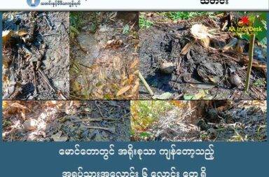 မောင်တောတွင် အရိုးစုသာ ကျန်တော့သည့် အရပ်သားအလောင်း ၆ လောင်း တွေ့ရှိ   သတင်းနှင့် မီဒီယာ ကွန်ရက်။ ၂၀၂၅ ခုနှစ်၊ အောက်တိုဘာ ၁ ရက်။ ရခိုင်ပြည်၊ မောင်တောမြို့နယ်ထဲတွင် အရိုးစုများသာ ကျန်တော့သည့် အရပ်သားအလောင်း ၆ လောင်းကို ရှာဖွေတွေ့ရှိခဲ့ကြောင်း အာရက္ခတပ်တော် (AA) က ထုတ်ပြန်ခဲ့သည်။ AA တပ်ဖွဲ့ဝင်များသည် စက်တင်ဘာလ ၂၈ ရက်နေ့ ညနေ ၃ နာရီခန့်က မောင်တောမြို့နယ်၊ အထက် အင်းချောင်းကျေးရွာအနီးတွင် လုံခြုံရေးဆောင်ရွက်နေစဉ် အရပ်သားများ၏ အလောင်းများကို နေရာ လေးခုတွင် ခွဲခြားတွေ့ရှိခဲ့ခြင်း ဖြစ်သည်။ အဆိုပါ အလောင်းများသည် အထက်အင်းချောင်းရွာအနီး ငှက်ပျောတောအုပ်ထဲမှ တွေ့ရှိခဲ့ခြင်း ဖြစ် ကြောင်း AA က ပြောသည်။ ကနဦးခန့်မှန်းချက်များအရ တွေ့ရှိရသည့် အလောင်းများသည် မောင်တောနယ်စပ် တမန်းသား ကျေးရွာနှင့် ဒုံးညိုကျေးရွာတို့မှ ပျောက်ဆုံးနေသော ရွာသားများ ဖြစ်နိုင်သည်ဟု ဆိုသည်။ အဆိုပါဒေသမှ လူပျောက်တိုင်ကြားမှု ၁၀ ဦးခန့် ရှိထားကြောင်းလည်း သိရသည်။ AA က ARSA အဖွဲ့သည် မောင်တောမြို့နယ်မြောက်ပိုင်း နယ်စပ်ရှိ AA ၏ တပ်စခန်းနှစ်ခုကို သိမ်း ပိုက်ရန် လုပ်ဆောင်နေပြီး၊ ယင်းစခန်းများသို့ သွားရာလမ်းတစ်လျှောက် တွေ့သမျှ မူဆလင် မဟုတ် သော အရပ်သားများကို နှုတ်ပိတ်သည့်အနေဖြင့် ဖမ်းဆီး၊ နှိပ်စက်၊ သတ်ဖြတ်မှုများ လုပ်ဆောင် နေခြင်းဖြစ်ကြောင်း သတိထားရန် ပြောဆိုထားသည်။