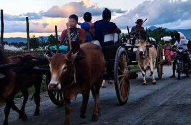 ကလေး-တမူးလမ်းမတွင် စစ်ကြောင်းနှစ်ကြောင်း ညှပ်ထိုး၊ ဒေသခံ ၁ သောင်းကျော် ထွက်ပြေး သတင်းနှင့် မီဒီယာ ကွန်ရက်။ ၂၀၂၅ ခုနှစ်၊ အောက်တိုဘာလ ၂၃ ရက်။  စစ်ကိုင်းတိုင်းဒေသကြီး၊ ကလေးမြို့နှင့် တမူးမြို့နယ်ကြားရှိ မြန်မာ - အိန္ဒိယ နယ်စပ်ကို ဆက်သွယ်ထားသော အာရှလမ်းမကြီးပေါ်တွင် စစ်ရေးတင်းမာမှုများ မြင့်တက်နေပြီး ဒေသခံတစ်သောင်းကျော် ဘေးလွတ်ရာကို ထွက်ပြေးနေရသည်။ စစ်ကောင်စီတပ်က အဆိုပါလမ်းမကြီးပေါ်သို့ စစ်ကြောင်းနှစ်ကြောင်းခွဲ၍ ညှပ်ပိတ်ထိုးနေသဖြင့် တိုက်ပွဲများ ပြင်းထန်လျက်ရှိကြောင်း ဒေသခံသတင်းရင်းမြစ်များက ပြောသည်။ ထိုသို့ စစ်ကြောင်းထိုးမှုကြောင့် ဒေသခံ ကျေးရွာပေါင်း ၅၀ ကျော်မှ ပြည်သူ တစ်သောင်းကျော် သည် ဘေးလွတ် ရာသို့ ထွက်ပြေးတိမ်းရှောင်နေရပြီး လူသားချင်းစာနာမှုဆိုင်ရာ အကူအညီများ အရေးပေါ် လိုအပ်လျက်ရှိ ကြောင်း သိရသည်။ ကလေးမြို့ဘက်မှ စစ်ကြောင်းတစ်ကြောင်း၊ တမူးမြို့နယ် ပန်းသာကျေးရွာဘက်မှ စစ်ကြောင်းတစ်ကြောင်း သည် အင်အားအလုံးအရင်းဖြင့် အာရှလမ်းမကြီးပေါ်သို့ ဝင်ရောက်လာခြင်းဖြစ်သည်။ အောက်တိုဘာ ၂၂ ရက်နေ့တွင် ကလေးဘက်မှ စစ်ကြောင်းသည် စော်ဘွားရေရှင်ကျေးရွာအနီး၊ တမူးဘက်မှ စစ်ကြောင်းက နန်းမွန်းတားကျေးရွာအနီး တွင် PDF ပူးပေါင်းတပ်ဖွဲ့များနှင့် တိုက်ပွဲဖြစ်ပွားနေပြီး စစ်ကြောင်း နှစ်ခုမှာ ညှပ်ပိတ်ထိုးသည့် အနေအထား ဖြစ်နေကြောင်း စစ်ရေးသတင်းရင်းမြစ်များက သုံးသပ်သည်။ ဤထိုးစစ်ကြောင့် ကလေးမြို့နယ်မြောက်ပိုင်းရှိ တော်လှန်ရေးတပ်ဖွဲ့များ၏ စခန်းအချို့ကိုလည်း ယာယီ လက်လွှတ်ခဲ့ရသည်။ စစ်ကြောင်းထိုးမှုများကြောင့် ကလေး - တမူး လမ်းမကြီးတစ်လျှောက်နှင့် မြောက်ပိုင်းဒေသတစ်လျှောက်မှ ရွာပေါင်း ၅၀ ကျော်က ပြည်သူများသည် တောတောင်များထဲသို့ ထွက်ပြေးတိမ်းရှောင်နေရပြီး စစ်ရှောင်ဦးရေ မှာ တစ်သောင်းကျော် ခန့် ရှိနေသည်။ စစ်ရှောင်အများစုမှာ ကိုယ်လွတ်ရုန်း ထွက်ပြေးလာကြရသဖြင့် အစားအသောက်၊ ဆန်၊ မိုးကာ၊ အိုးခွက်ပန်းကန် စသည့် အခြေခံပစ္စည်းများ လုံးဝမပါလာသည့် မိသားစုများ အများအပြား ရှိနေသည်။ စစ်ရှောင်များအနက် ကိုယ်ဝန်ဆောင်မိခင်၊ သက်ကြီးရွယ်အိုနှင့် နာမကျန်းဖြစ်သူများ ပါဝင်နေ သောကြောင့် ဆေးဝါးနှင့် ကျန်းမာရေးစောင့်ရှောက်မှုများ အရေးပေါ် လိုအပ်နေသည်။ စစ်ကော်မရှင်တပ်၏ စစ်ကြောင်းထိုးမှုများအတွင်း ကလေး - တမူး လမ်းပိုင်းတစ်လျှောက်ရှိ ကျေးရွာများတွင် အောက်တိုဘာ ၁၇ နှင့် ၁၈ ရက်နေ့များ၌ အရပ်သား ၁၀ ဦးထက်မနည်း သတ်ဖြတ်ခံခဲ့ရသည် ဟု ဒေသခံများက ပြောဆိုသည်။ စစ်ကိုင်းတိုင်းဒေသခံများသည် စစ်အာဏာသိမ်းပြီးနောက်ပိုင်း နေအိမ်များ မီးရှို့ခံရခြင်း၊ အိုးမဲ့အိမ်မဲ့ ဖြစ်ရခြင်း တို့နှင့် ကြုံတွေ့ခဲ့ရပြီး ယခုအခါ စစ်ကြောင်းများကြောင့် ဘေးလွတ်ရာ ထပ်မံ ထွက်ပြေးတိမ်းရှောင်နေရကာ လူသားချင်းစာနာမှု အကူအညီများ အရေးပေါ် လိုအပ်လျက်ရှိသည်။