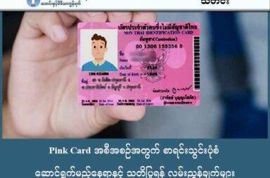 Pink Card အစီအစဉ်အတွက် စာရင်းသွင်းပုံစံ၊ ဆောင်ရွက်မည့်နေရာနှင့် သတိပြုရန် လမ်းညွှန်ချက်များ   သတင်းနှင့် မီဒီယာ ကွန်ရက်။ ၂၀၂၅ ခုနှစ်၊ အောက်တိုဘာလ ၁၁ ရက်။ ထိုင်းနိုင်ငံရောက် ရွှေ့ပြောင်း အလုပ်သမားများအတွက် Pink Card (ပန်းရောင်ကတ်) ပြုလုပ်ပေးမည့် အထူးအစီအစဉ်ကို ယခုရက်ပိုင်းအတွင်း စတင်တော့မည် ဖြစ်ပါသည်။ ယခင်နေ့က စတင်စာရင်းပေးသွင်းမည့်ရက်နှင့် ကုန်ကျစရိတ်များအကြောင်းကို တင်ပြခဲ့ပြီးနောက်၊ ယနေ့တွင် မည်သို့စာရင်းသွင်းရမည် နှင့် မည်သည့်နေရာများတွင် ဆောင်ရွက်ပေးမည် ဆိုသည့် အရေးကြီး လမ်းညွှန်ချက်များကို ဖော်ပြပေးထားပါသည်။ Pink Card လျှောက်ထားရန် စာရင်းပေးသွင်းနည်း (၂) မျိုး Pink Card လျှောက်ထားလိုသူများသည် အဓိကအားဖြင့် နည်းလမ်းနှစ်မျိုးဖြင့် စတင် စာရင်းပေးသွင်းရမည် ဖြစ်သည်။ ၁။ အလုပ်ရှင်မှ ကိုယ်စားပြု အစုလိုက် စာရင်းသွင်းခြင်း အလုပ်သမားများအနေဖြင့် မိမိတို့၏ အလုပ်ရှင်များမှ တစ်ဆင့် စာရင်းပေးသွင်းခြင်းသည် အလွယ်ကူဆုံးနည်းလမ်း ဖြစ်သည်။ အလုပ်ရှင်များသည် ၎င်းတို့၏ ဝန်ထမ်းများ၊ အလုပ်သမားများကို ကိုယ်စားပြု၍ ထိုင်း အလုပ်သမားဝန်ကြီးဌာန (သို့မဟုတ်) သတ်မှတ်ထားသော ဌာနဆိုင်ရာရုံးများ တွင် စာရင်းပေးသွင်းပေးရမည် ဖြစ်သည်။ ၂။ အွန်လိုင်းမှတစ်ဆင့် စာရင်းကြိုသွင်းခြင်း နောက်တစ်နည်းမှာ အလုပ်သမားများအနေဖြင့် သတ်မှတ်ထား သော အွန်လိုင်း ပလက်ဖောင်း သို့မဟုတ် ဖုန်းနံပါတ်များ မှတစ်ဆင့် မိမိတို့၏ အချက်အလက်များကို တင်ပြကာ စာရင်းကြိုသွင်းခြင်း စနစ် ဖြစ်သည်။ သို့သော် ဤနည်းလမ်းကို အသုံးပြုရာတွင် အလုပ်သမားများအနေဖြင့် နည်းပညာဆိုင်ရာ အခက်အခဲများ (စမတ်ဖုန်းနှင့် အင်တာနက် အသုံးပြုမှု) နှင့် ဘာသာစကား အခက်အခဲ များ ရှိနိုင်သည်ကို သတိပြုသင့်သည်။ Pink Card ဝန်ဆောင်မှု ဆောင်ရွက်ပေးမည့် နေရာများ Pink Card ပြုလုပ်ခြင်း လုပ်ငန်းစဉ်များကို အဓိကအားဖြင့် နေရာနှစ်မျိုးခွဲ၍ ဆောင်ရွက်ပေးသွားမည်သည်။ ၁။ အစိုးရဌာနဆိုင်ရာရုံးများ ထိုင်းနိုင်ငံရှိ လဝကရုံး (လူဝင်မှုကြီးကြပ်ရေးရုံး) သို့မဟုတ် ခရိုင်အုပ်ချုပ်ရေးရုံးများ တွင် သတ်မှတ်ထားသော ရက်များအတွင်း Pink Card လုပ်ငန်းများကို ဆောင်ရွက် ပေးသွားမည် ဖြစ်ပါသည်။ ၂။ One Stop Service (OSS) စင်တာများ အလုပ်သမား အရေအတွက် များပြားသော ပြည်နယ်များတွင်မူ "တစ်နေရာတည်း ဝန်ဆောင်မှုစင်တာ" (OSS) များကို ဖွင့်လှစ်ပေးမည်ဖြစ်သည်။ ဤစင်တာများတွင် Pink Card လျှောက်လွှာတင်သွင်းခြင်း၊ ကျန်းမာရေး စစ်ဆေးခြင်းနှင့် သက်ဆိုင်ရာ စာရွက်စာတမ်းများ ပြုလုပ်ခြင်း တို့ကို အလုပ်သမားများ အချိန်မကုန်ဘဲ အပြီးစီး ဆောင်ရွက်နိုင်ရန် စီစဉ်ထားပါသည်။ အရေးကြီးသည့် သတိပေးချက် Pink Card လုပ်ငန်းစဉ်အတွက် အချိန်ကန့်သတ်ချက် သတ်မှတ်ထားခြင်းကြောင့် အလုပ်သမားများအနေဖြင့် သတ်မှတ်ရက် မကုန်ဆုံးမီ စောစီးစွာ စာရင်းပေးသွင်းရန် အထူးလိုအပ်ပါသည်။