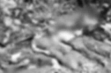 မော်ချီး သတ္တုတွင်းကို ဗုံးကြဲ၊ ခဲလုပ်သား ငါးဦးထက်မနည်း သေဆုံး သတင်းနှင့် မီဒီယာ ကွန်ရက်။ ၂၀၂၅ ခုနှစ်၊ နိုဝင်ဘာလ ၂၁ ရက်။ ကရင်နီ (ကယား) ပြည်၊ ဖားဆောင်းမြို့နယ်ရှိ မော်ချီးဒေသကို စစ်ကော်မရှင်တပ်က လေကြောင်းမှ ဗုံးကြဲတိုက်ခိုက်ခဲ့သဖြင့် သတ္ထုတွင်းလုပ်ငန်းခွင်အတွင်း အလုပ်လုပ်နေသော အရပ်သား ခဲလုပ်သား ၅ ဦးထက်မနည်း နေရာတွင်ပင် သေဆုံးခဲ့ရသည်။ နိုဝင်ဘာလ ၂၁ ရက်နေ့၊ နံနက်ပိုင်းတွင် တိုက်ပွဲဖြစ်ပွားခြင်းမရှိဘဲ ဗုံးကြဲတိုက်ခိုက်ခဲ့သဖြင့် ခဲလုပ်သား ၅ ဦးထက်မနည်း နေရာတွင်ပင် သေဆုံးခဲ့ရကြောင်း ဒေသခံသတင်းရင်းမြစ်များက အတည်ပြု ပြောသည်။ အဆိုပါ တိုက်ခိုက်ခံရမှုထဲ၌ အမျိုးသမီးများ အပါအဝင် ၁၀ ဦးကျော် ထိခိုက်ဒဏ်ရာရရှိခဲ့သည်။ ဒေသခံတစ်ဦးက “တိုက်ပွဲဖြစ်စရာ အခြေအနေ လုံးဝမရှိဘဲ၊ သူတို့က လေယာဉ်နဲ့ တိုက်ရိုက်လာကြဲတာပါ။ ကျနော်တို့ ခဲလုပ်သားတွေ ထိပြီး သေဆုံးရတာပါ” ဟု ပြောသည်။ လေကြောင်းတိုက်ခိုက်မှုသည် ယနေ့ နံနက် ၈ နာရီခွဲခန့်မှစ၍ မော်ချီးဒေသရှိ ခဲမဖြူနှင့် အဖြိုက်နက် သတ္ထုများ ထွက်ရှိရာ ကေတီ၊ ညောင်ပင်နှင့် အမှတ်(၂) စက်ရုံ နေရာများ၊ ကီဒေခဲတွင်း အနီးတဝိုက် အပါအဝင် နေရာ သုံးခုခန့်ကို ဆက်တိုက် ဗုံးကြဲတိုက်ခိုက်ခဲ့ခြင်းဖြစ်သည်။ သေဆုံးသူများမှာ အားလုံး အမျိုးသားများဖြစ်ပြီး၊ ထိခိုက်ဒဏ်ရာရရှိသူများတွင် သက်ကြီး အမျိုးသမီးများ လည်း ပါဝင်ကြောင်း ဒေသခံများက ပြောသည်။ ဒေသခံများနှင့် စစ်ရှောင်ကူညီရေးအဖွဲ့များ၏ ပြောဆိုချက်များအရ ဗုံးကြဲတိုက်ခိုက်ခဲ့သည့် နေရာများတွင် မြေပြင်တိုက်ပွဲ တစ်စုံတစ်ရာ ဖြစ်ပွားခြင်းမရှိခဲ့ဘဲ အရပ်သားများ အလုပ်လုပ်နေသည့် နေရာများကိုသာ တိုက်ရိုက် ပစ်မှတ်ထားတိုက်ခိုက်ခဲ့ခြင်း ဖြစ်သည်။ မော်ချီးဒေသသည် မြန်မာနိုင်ငံ၏ သတ္ထုတူးဖော်ရေးအတွက် အရေးပါသော ခဲမဖြူနှင့် အဖြိုက်နက် ထွက်ရှိရာ ဒေသဖြစ်ပြီး၊ ပြီးခဲ့သည့် ၂၀၂၄ ခုနှစ်၊ ဇန်နဝါရီလ ၂၇ ရက်နေ့ တွင် ကရင်နီတော်လှန်ရေး တပ်ပေါင်းစုက စစ်ကော်မရှင် လက်မှ သိမ်းပိုက် ထိန်းချုပ်ထားသည့် မြို့ဖြစ်သည်။ မော်ချီးဒေသသည် စစ်ကော်မရှင်၏ လေကြောင်းတိုက်ခိုက်မှုကို အကြိမ်ပေါင်းများစွာ ကြုံတွေ့ခဲ့ရသော နေရာဖြစ်သည်။ ပြီးခဲ့သည့် ဩဂုတ်လ ၁၇ ရက်နေ့တုန်းကလည်း လူစည်ကားသော (၁၆) ကုန်းရပ်ကွက်ကို လေကြောင်းမှ ဗုံးကြဲခဲ့သောကြောင့် အသက်ငါးနှစ်အရွယ် ကလေးငယ်အပါအဝင် အရပ်သား ၂၃ ဦး သေဆုံးခဲ့သည့် ဖြစ်စဉ်ရှိခဲ့ဖူးသည်။ ထို့အပြင် ဇွန်လ ၂၅ ရက်နေ့တွင်လည်း တောင်ပေါ်ရွာရှိ ခဲတွင်းတစ်ခုကို တိုက်ခိုက်ခဲ့ရာ ခဲလုပ်သား ၆ ဦး သေဆုံးခဲ့သည်။ ဒေသတွင်း တော်လှန်ရေးအဖွဲ့များက လေကြောင်းအန္တရာယ်မှ ရှောင်ရှားနိုင်ရန်အတွက် ဒေသခံလူထုများနှင့် စစ်ရှောင်များအနေဖြင့် လေယာဉ်သံကြားပါက ဗုံးခိုကျင်းများ (သို့မဟုတ်) ပုန်းအောင်းနိုင်သည့် နေရာများတွင် နေထိုင်ကြရန် အထူးသတိပေးထားသည်။  