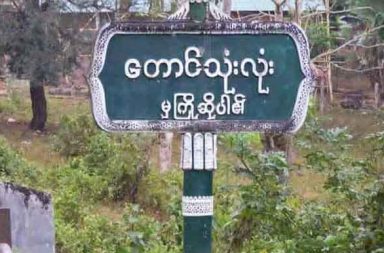 ဥယျာဉ်ခြံသွားလမ်း၌ မိုင်းနင်းမိသော ရွာသား ခြေထောက်ဖြတ်တောက်ခံရ သတင်းနှင့်မီဒီယာ ကွန်ရက်။ ၂၀၂၅ ခုနှစ်၊ နိုဝင်ဘာလ ၂၂ ရက်။ တနင်္သာရီတိုင်း ထားဝယ်အရှေ့တောဒေသတွင် ခြံမှအပြန်လမ်း၌ မိုင်းနင်းမိသော ရွာသား ခြေထောက် ဒူးအောက်ပိုင်း ဖြတ်တောက်လိုက်ရသည်ဟု ဒေသခံ ရွာသားများက ပြောသည်။ စစ်ရေးပဋိပက္ခများ မကြာခဏ ဖြစ်ပွားလေ့ရှိသည့် ထားဝယ်ခရိုင်၊ အရှေ့တောဒေသတွင် ဥယျာဉ်ခြံမှ အိမ်သို့ ပြန်လာသည့် အသက် ၄၀ အရွယ် ရွာသားတစ်ဦးသည် လူအများသွားလာနေသည့် လမ်းမပေါ်တွင် မြေမြှုပ်မိုင်း နင်းမိသဖြင့် ပြင်းထန်ဒဏ်ရာရရှိခဲ့ပြီး ခြေထောက်အား ဒူးအောက်ပိုင်းမှ ဖြတ်တောက်လိုက်ရခြင်း ဖြစ်သည်။ အသက် ၄၀ ခန့်အရွယ် ရွာသားတစ်ဦးက “မိုင်းနင်းမိတဲ့ ခြေထောက်အား ဒူးအောက်ပိုင်းကနေ ဖြတ်ပစ်လိုက်ရ တာဗျ” ဟု ပြောသည်။ ဖြစ်စဉ်မှာ နိုဝင်ဘာလ ၁၇ ရက်နေ့က တောင်သုံးလုံးကျေးရွာသား ကိုအောင်မင်းဦး (၄၀) နှစ် သည် ကျောက်မဲတောင်ကျေးရွာရှိ တရုတ်သင်္ချိုင်းအနောက်ဘက်၌ရှိသော ၎င်းပိုင် ဥယျာဉ်ခြံထဲမှ အိမ်ပြန်လာစဉ် လမ်းတွင် မိုင်းနင်းမိခြင်းဖြစ်သည်။ မိုင်းပေါက်ကွဲမှုကြောင့် ပြင်းထန်စွာ ဒဏ်ရာရရှိခဲ့သူကို ထားဝယ်ဆေးရုံသို့ ပို့ဆောင်ကုသခဲ့ရပြီး လူ့အသက်ကို ကယ်တင်နိုင်ရန်အတွက် ခြေထောက်ဖြတ်တောက်မှု ပြုလုပ်ခဲ့ရသည်။ အဆိုပါ မိုင်းပေါက်ကွဲသည့်လမ်းမှာ ဥယျာဉ်ခြံသွားလာရာ အဓိကလမ်းကြောင်းဖြစ်ပြီး၊ ယာဉ်များပင် သွားလာနိုင်လောက်အောင် ကျယ်ဝန်းသည့်လမ်းဖြစ်သော်လည်း မိုင်းထောင်ထားခြင်း ခံခဲ့ရသည်။ ထိုလမ်းကို တောခုတ်သမားများပင် ပုံမှန် အသုံးပြုနေသည့်အတွက် အန္တရာယ်ကင်းသည်ဟု ယူဆခဲ့ကြောင်း ဒေသခံများက ပြောသည်။ မိုင်းပေါက်ကွဲခဲ့သည့် လမ်းအနေအထားနှင့်ပတ်သက်၍ အခြား ရွာသားတစ်ဦးက “မိုင်းနင်းမိတဲ့ ခြံအနီးတစ်ဝိုက် မှာ တောခုတ်သမားတွေ တောခုတ်နေကြတော့ ဘာမှမဖြစ်ကြမယ် မထင်ဘူးပေါ့၊ အိမ်ပြန်လာတဲ့ လမ်းမှာ ဖြစ် သွားတာ၊ ပေါက်ကွဲတဲ့လမ်းက အကျယ်ကြီးပါ ကားတစ်စီး အေးအေးဆေးဆေး မောင်းဝင်သွားလာလို့ရတယ်” ဟု  ပြောသည်။ ထားဝယ်အရှေ့တောဒေသသည် တိုက်ပွဲများ မကြာခဏ ဖြစ်ပွားလျက်ရှိသည့် နယ်မြေတစ်ခုဖြစ်ပြီး၊ လူအများ ဖြတ်သန်းသွားလာသည့် လမ်းများ၊ လယ်တောများနှင့် ကျေးရွာများအနီးဝန်းကျင်တွင် စစ်ကော်မရှင်တပ်နှင့် အခြား လက်နက်ကိုင် အဖွဲ့အစည်းများက မြေမြှုပ်မိုင်းများ ထောင်ထားသဖြင့် ဒေသခံရွာသားများမှာ မကြာခဏ ထိခိုက်သေဆုံးမှုများ ကြုံတွေ့နေရပြီး ဥယျာဉ်ခြံသွားလမ်းများသည်ပင် အသက်အန္တရာယ်နှင့် ရင်ဆိုင်နေရ ကြောင်း ရွာသားများက ဆိုသည်။  