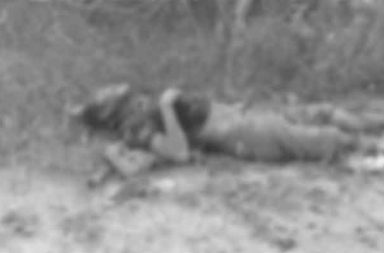 ကချင်-စစ်ကိုင်း အစပ် ဗန်းမောက် မြို့နယ် အတွင်း လေကြာင်း တိုက်ခိုက်မှုကြောင့် အရပ်သား တစ်ဦးသေ သတင်းနှင့် မီဒီယာ ကွန်ရက်။ ၂၀၂၅ ခုနှစ်၊ ဒီဇင်ဘာလ  ၈ ရက်။ တော်လှန်ရေးတပ်များ ထိန်းချုပ်ထားသော ဗန်းမောက်မြို့နယ်ရှိ တရုတ်လုပ်ငန်းရှင်ပိုင် ရွှေလုပ်ကွက် လေကြောင်း တိုက်ခိုက်ခံရပြီး အရပ်သားတစ်ဦး သေဆုံးသွားသည်ဟု ဒေသခံများက ပြောသည်။ စစ်ကိုင်းတိုင်းဒေသကြီး၊ ဗန်းမောက်မြို့နယ် တောင်ပိုင်းရှိ ရွှေလုပ်ကွက်တစ်ခုအား စစ်ကော်မရှင်တပ်က ဂျက် ဖိုက်တာ လေယာဉ်ဖြင့် ဗုံးကြဲတိုက်ခိုက်ခဲ့ရာ အရပ်သားတစ်ဦး သေဆုံးပြီး တရုတ်လူမျိုးလုပ်ငန်းရှင် အချို့ အပါအဝင် ၅ ဦး ဒဏ်ရာရရှိခဲ့ကြောင်း ဗန်းမောက်မြို့နယ် ပြည်သူ့အုပ်ချုပ်ရေးအဖွဲ့ (ပအဖ) က ထုတ်ပြန်ချက် အရ သိရသည်။ ဒေသခံအမျိုးသားတစ်ဦးက “မြို့နယ် ၃ ခုဆုံတဲ့နေရာပေါ့လေ။ အဲ့ဒီနေရာမှက တရုတ်လုပ်ငန်းရှင်ပိုင်တဲ့ ရွှေ လုပ်ကွက်က အကြီးကြီး၊ တောင်ကြောတစ်ခုလုံး တရုတ်တွေ လုပ်ကိုင်တဲ့ ရွှေလုပ်ကွက်ပေါ့။ ကြဲသွားတာက ရွှေလုပ်ကွက်ထဲဆိုတော့ တစ်ယောက်သေတယ်။ နောက်ထပ် ၅ ယောက်လောက်က ဒဏ်ရာရတယ်” ဟု ပြောသည်။ ဒီဇင်ဘာလ ၇ ရက်နေ့ မွန်းလွဲ ၂ နာရီဝန်းကျင်ခန့်က ဗန်းမောက်မြို့ပေါ်နှင့် မိုင် ၂၀ ခန့်အကွာတွင် တည်ရှိသော 'သုံးမြေဆုံရွှေလုပ်ကွက်' ကို စစ်ကော်မရှင်က လေကြောင်းမှ တိုက်ခိုက်ခဲ့ခြင်းဖြစ်သည်။ အဆိုပါ ရွှေလုပ်ကွက်သည် အင်းတော်၊ ဗန်းမောက်နှင့် ဝန်းသိုမြို့နယ် သုံးခုဆုံရာဒေသဖြစ်ပြီး၊ တရုတ်လုပ်ငန်း ရှင်များ ပိုင်ဆိုင်လုပ်ကိုင်သည့် လုပ်ကွက်ကြီး ဖြစ်ကြောင်း ဒေသခံများက ဆိုသည်။ လေယာဉ်တိုက်ခိုက်မှုတွင် တံတားဦးမှ တက်လာသည့် ဂျက်ဖိုက်တာ ၂ စီးဖြင့် ဗုံးသီး ၈ လုံးအသုံးပြုကာ ၄ ကြိမ်တိုင်တိုင် ဗုံးကြဲတိုက်ခိုက်ခဲ့သည်ဟု အခြေအနေသိရှိသူများက ပြောသည်။ သေဆုံးသူမှာ အသက် ၃၃ နှစ်အရွယ် ကိုငြိမ်းဆိုသူ ဖြစ်ပြီး ထိခိုက်ဒဏ်ရာရရှိသူ ၅ ဦးအနက်မှ ၂ ဦးသည် တရုတ်လူမျိုး လုပ်ငန်းရှင်များ ဖြစ်သည်ဟု ဒေသခံများက အတည်ပြုသည်။ ယခုရက်ပိုင်းအတွင်း တော်လှန်ရေး အင်အားစုများ သိမ်းပိုက်ထားသည့် ဗန်းမောက်မြို့ပေါ်တွင် နှစ်ဖက်တပ်များ အကြား တိုက်ပွဲများ ပြင်းထန်လျှက်ရှိသည်။ ပြီးခဲ့သည့် နိုဝင်ဘာလ ၃၀ ရက်နေ့မှ စတင်ကာ စစ်ကော်မရှင်တပ်နှင့် ရှမ်းနီအမျိုးသားတပ်မတော် (SNA) ပူးပေါင်းတပ်များက ဗန်းမောက်မြို့ ပြန်လည်ရရှိရေးအတွက် အပြင်းအထန် ထိုးစစ်ဆင်နေခြင်း ဖြစ်သည်။ ဒီဇင်ဘာလ ၇ ရက်နေ့အထိ စစ်ကော်မရှင်တပ်သည် ဗန်းမောက်မြို့နယ်အတွင်း လေကြောင်းအသုံးပြု တိုက်ခိုက် မှု ၆ ရက်ဆက်တိုက် ရှိလာပြီ ဖြစ်ကြောင်း ဗန်းမောက်မြို့နယ် ပအဖ က ထုတ်ပြန်ထားသည်။