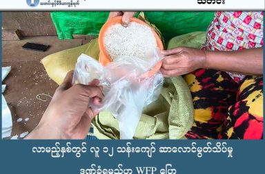 လာမည့်နှစ်တွင် လူ ၁၂ သန်းကျော် ဆာလောင်မွတ်သိပ်မှုဒဏ်ခံရမည်ဟု WFP ပြော သတင်းနှင့် မီဒီယာ ကွန်ရက်။ ၂၀၂၅ ခုနှစ်၊ ဒီဇင်ဘာလ ၁၅ ရက်။ လာမည့် ၂၀၂၆ ခုနှစ်တွင် မြန်မာပြည်သူ ၁၂ သန်းကျော်သည် ဆာလောင်မွတ်သိပ်မှုဒဏ်ကို ပြင်းထန်စွာ ခံစားရနိုင် သည်ဟု ကမ္ဘာ့စားနပ်ရိက္ခာအစီအစဉ်အဖွဲ့ကြီး (WFP) က သတိပေး ထုတ်ပြန်လိုက်သည်။ နိုင်ငံအနှံ့ ပဋိပက္ခများ ပြင်းထန်လာခြင်း၊ စစ်တပ်၏ ပိတ်ဆို့ဖြတ်တောက်မှုများကြောင့်နှင့် နေရပ်စွန့်ခွာရသူ (IDPs) အရေအတွက်မှာလည်း ၄ သန်းနီးပါးအထိ မြင့်တက်လာနိုင်ခြင်းတို့ကြောင့် မြန်မာနိုင်ငံ၏ လူသားချင်းစာနာ ထောက်ထားမှု အခြေအနေသည် စိုးရိမ်ဖွယ်အဆင့်သို့ ရောက်ရှိလာနေပြီး မြန်မာ့ဝမ်းရေး အကျပ် အတည်းမှာ အလွန်အမင်း ဆိုးရွားလာနေကြောင်း WFP က ဒီဇင်ဘာလ ၁၁ ရက်နေ့တွင် ထုတ်ပြန်သည်။ WFP ၏ ထုတ်ပြန်ချက်အရ လက်ရှိတွင် ကလေးငယ်များနှင့် မိခင်ပေါင်း လေးသိန်းကျော်သည် အာဟာရချို့တဲ့ မှုကို ပြင်းပြင်းထန်ထန် ခံစားနေရသည်။ ၎င်းတို့သည် နေ့စဉ်စားသောက်ရေးအတွက် အာဟာရ နည်းပါးလှသည့် ထမင်းဖြူသက်သက် သို့မဟုတ် ဆန်ပြုတ်ကျဲကျဲကိုသာ အားပြုမှီဝဲနေကြရသည့် အခြေအနေကို ရင်ဆိုင်နေရသည်ဟု WFP က ဆိုသည်။ စစ်ကိုင်းတိုင်းဒေသမှ စစ်ဘေးရှောင် မိခင်တစ်ဦးက “ကျမတို့တောထဲမှာ ပုန်းနေရတော့ ဘယ်သူမှ လာမကူနိုင် ဘူး။ ကလေးတွေအတွက် နို့မှုန့်ဆို ဝေးရောပဲ။ အိမ်က ပါလာတဲ့ ဆန်လေးနဲ့ ဆန်ပြုတ်ကျဲကျဲပဲ ပြုတ်တိုက်နေ ရတာ။ ကလေးတွေ ပိန်သွားတာ တွေ့ရတော့ မိခင်တစ်ယောက် အနေနဲ့ ရင်ထဲမှာ အရမ်းနာကျင်ရတယ်” ဟု ပြောသည်။ စစ်ကိုင်းတိုင်းဒေသကြီး၊ ကလေးမြို့နယ်တွင် ပြီးခဲ့သည့် သုံးလကျော်က စစ်ကော်မရှင်တပ်များ စစ်ကြောင်းထိုး ဝင်ရောက်ပြီးနောက် မြို့ဝင်/ထွက် လမ်းမကြီးများကို ပိတ်ဆို့ထားမှုကြောင့် တောတောင်အတွင်း ထွက်ပြေး တိမ်းရှောင်နေကြရသည့် ဒေသခံ ထောင်နှင့်ချီသည်လည်း စားနပ်ရိက္ခာ ပြတ်လပ်မှုနှင့် ရင်ဆိုင်နေရသည် ဟု စစ်ဘေးရှောင်များအား အကူအညီပေးနေသူများနှင့် ဒေသခံများက ပြောသည်။ သုံးလကျော်ကြာ လမ်းကြောင်းပိတ်ဆို့ ခံထားရခြင်းကြောင့် အစားအသောက် အကူအညီများ ရရှိရန် ခက်ခဲနေ ပြီး စစ်ရှောင်ပြည်သူ အများစုသည် ဆန်ပြုတ်ကျဲကျဲကိုသာ ကျိုချက်အားပြု စားသောက်နေရသည်ဟု အကူအညီပေးရေးအဖွဲ့များက ထောက်ပြသည်။ ကလေးမြို့လူထုတိုက်ပွဲ ဦးဆောင်ကော်မတီ ပြောရေးဆိုခွင့်ရှိသူက “အရေးပေါ်က ဆန်နဲ့ရိက္ခာနဲ့၊ ဒီအရေးပေါ် လူသုံးကုန်ပစ္စည်းတွေလည်း လိုတယ်။ လက်ရှိ ရာသီဥတုပြောင်း ကာလကြောင့်မို့လို့ ဒီဖျားနာတာတွေရော ဖြစ်နေကြတော့ ဒီအရေးပေါ် ကျန်းမာရေး ကူညီစောင့်ရှောက်မှုတွေ လိုအပ်ပါတယ်။ လိုတာ ပြောရရင်တော့ အကုန်ပဲဗျာ” ဟု ပြောသည်။ WFP မြန်မာနိုင်ငံဆိုင်ရာ ဌာနေကိုယ်စားလှယ် မစ္စတာ မိုက်ကယ်ဒန်ဖို့ဒ် (Mr. Michael Dunford) က မြန်မာနိုင်ငံ၏ အခြေအနေသည် ကမ္ဘာပေါ်၌ အဆိုးရွားဆုံးသော အကျပ်အတည်းများထဲမှ တစ်ခုဖြစ်နေသော် လည်း နိုင်ငံတကာ၏ အာရုံစိုက်မှု နည်းပါးနေကြောင်း ထောက်ပြထားသည်။ “မြန်မာနိုင်ငံရဲ့ အခြေအနေဟာ ကမ္ဘာပေါ်မှာ အဆိုးရွားဆုံး ဆာလောင်မွတ်သိပ်မှု အကျပ်အတည်းတွေထဲက တစ်ခု ဖြစ်ပါတယ်။ ဒါပေမဲ့ ကံမကောင်းစွာပဲ နိုင်ငံတကာရဲ့ အာရုံစိုက်မှုဟာ အခြားနေရာတွေလောက် မရရှိသေးဘူး ဆိုတာကို ကျနော်တို့ ထောက်ပြလိုပါတယ်” ဟု မစ္စတာ ဒန်ဖို့ဒ်က ပြောသည်။ ထို့အပြင် စစ်ကော်မရှင်တပ်၏ ပိတ်ဆို့မှုသည် အလှူရှင်များ၏ ကူညီထောက်ပံ့မှုများကို စစ်ရှောင်များထံ အရောက်ပို့ဆောင်ရန် အခက်အခဲ ဖြစ်စေသည်ဟု ကရင်နီပြည်မှ စစ်ဘေးရှောင်တစ်ဦး၏ က ပြောသည်။ “အခုလို တိုက်ပွဲတွေ ပြင်းထန်နေတဲ့အချိန်မှာ လမ်းတွေကလည်း ပိတ်ထားတော့ အပြင်က အကူအညီတွေ လာဖို့ အရမ်းခက်တယ်။ လာရင်တောင်မှ စစ်သားတွေရဲ့ စစ်ဆေးတာ၊ ပိတ်ပင်တာတွေ အများကြီး ခံရတယ်။ ဒါကြောင့် အလှူရှင်တွေ ဘယ်လောက်ပဲ ကူညီချင်ချင်၊ ဒီပစ္စည်းတွေက ကျနော်တို့ စစ်ရှောင်တွေဆီကို အရောက်လာဖို့ မလွယ်ဘူး။ ဒါကြောင့် စားနပ်ရိက္ခာက တဖြည်းဖြည်း ပြတ်လပ်လာတယ်။” ကုလသမဂ္ဂ အဖွဲ့အစည်းများ အနေဖြင့် ရန်ပုံငွေ အလွန်အမင်း နည်းပါးနေမှုနှင့် ရင်ဆိုင်နေရသောကြောင့် ၂၀၂၆ ခုနှစ်တွင် အကူအညီ လိုအပ်နေသူ ၁၂ သန်းကျော်ထဲမှ ၁.၃ သန်းကိုသာ အကူအညီပေးရန် ရည်မှန်းထားပြီး ယင်း အတွက်ပင် အမေရိကန်ဒေါ်လာ ၁၂၅ သန်း အရေးတကြီး လိုအပ်နေသည် ဟု WFP က နိုင်ငံတကာကို တောင်းဆိုထားသည်။ ဓါတ်ပုံ - Karenni Humanitarian Team (KHT)