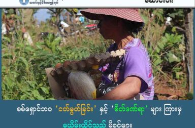 စစ်ရှောင်ဘဝ 'ငတ်မွတ်ခြင်း' နှင့် 'စိတ်ဒဏ်ရာ'များ ကြားမှ မယိမ်းယိုင်သည့် မိခင်များ  သတင်းနှင့်မီဒီယာ ကွန်ရက်။ ၂၀၂၅ ခုနှစ်၊ ဒီဇင်ဘာလ ၉ ရက်။ အားမီ ရေးသည်။ +++ ဖုံးကွယ်ထားရသည့် မျက်ရည်များ +++ ကရင်နီ စစ်ဘေးရှောင် တစ်ဦး ဖြစ်သူ ဒေါ်ကားခူဖောက စစ်ဘေးရှောင်ဘဝ အခက်အခဲများကို ပြောပြသည်။ “ကိုယ်ပြေးလာရတဲ့ လမ်းခရီးက ကိုယ်အသတ်ခံရမှာလား၊ သူတို့နဲ့ တွေ့မလား၊ အဲ့ဒီအချိန်ဆို အဒေါ်လေ ငိုမတတ်လောက်အောင် ခံစားရတယ်။ ငိုနေတာတောင်မှ မျက်ရည်မကျတဲ့အဆင့် အထိပေါ့နော်” ဟု လွန်ခဲ့သည့် နှစ်များ၏ ဖိစီးမှုကို ပြန်ပြောင်းပြောပြသည်။ ဒေါ်ကားခူဖော၏ ခင်ပွန်းသည်ကို စစ်အုပ်စုက သတ်ဖြတ်ခဲ့သည်။ ခင်ပွန်းသည် အသတ်ခံရသည့် အချိန်မှာ သူ့ဘဝအတွက် အဆိုးရွားဆုံး စိတ်ဒဏ်ရာကို ခံစားခဲ့ရသည်ဟု ဒေါ်ကားခူဖောက ပြောပြသည်။ မည်သို့ပင် စိတ်ထိခိုက်သည် ဖြစ်စေ ဒေါ်ကားခူဖောတယောက် မိသားစုဝင်များ စိတ်ဓါတ်ကျမည်ကို စိုးရိမ်သည်။ လက်ရှိပင်ပန်းဆင်းရဲမှုများကို မိသားစုဝင်များ မမြင်စေရန် ညဘက် အိပ်ယာထဲတွင်သာ အံကြိတ်နေခဲ့ရသည်ဟု ပြောပြသည်။ ကရင်နီ စစ်ရှောင်အမျိုးသမီး ဒေါ်ကားခူဖော သည် ၂၀၂၁ ခုနှစ်၊ မေလ ၂၉ ရက်နေ့ကတည်းက စစ်ဘေး စတင် ရှောင်ခဲ့ရသူ ဖြစ်သည်။ ကျန်းမာရေးမကောင်း၊ အလုပ်မရှိသည့်ကြားမှ မိသားစု စားဝတ်နေရေးနှင့် သားသမီးများ ငတ်ပြတ်မည်ကို စိုးရိမ်စိတ်ကြောင့် တစ်ခါတစ်ရံ ‘ရူးချင်သည့်စိတ် အထိ’ ဖြစ်လာရသည်ဟုလည်း ၎င်းက ဖွင့်ဟသည်။ +++ လူသားချင်းစာနာမှု ပျောက်ဆုံး၊ အငတ်ဘေးခြိမ်းခြောက်မှု +++ စစ်အာဏာသိမ်းပြီးနောက် ငါးနှစ်နီးပါးကာလအတွင်း ကရင်နီ (ကယား) ပြည်မှ စစ်ဘေးရှောင်ပြည်သူများသည် စစ်ကော်မရှင်တပ်၏ တိုက်ခိုက်မှုဒဏ်၊ လူ့အခွင့်အရေး ချိုးဖောက်မှုများအပြင် နိုင်ငံတကာ အထောက်အပံ့ ပြတ်တောက်မှုကြောင့် ‘အငတ်ဘေး’ အန္တရာယ်နှင့် စိတ်ပိုင်းဆိုင်ရာ ဖိအားမှုများကို ရင်ဆိုင်နေရသည်။ စစ်ရှောင်ကာလ ကြာမြင့်လာသည်နှင့်အမျှ လူသားချင်းစာနာမှု အကူအညီများ ပြတ်တောက်လာခြင်းက စစ်ရှောင်များကို အကြီးအကျယ် ဒုက္ခရောက်စေသည်။ ကရင်နီ စစ်ရှောင်အမျိုးသမီးများ၏ ပြောပြချက်အရ အလှူရှင်များ မလာသည်မှာ တစ်နှစ်ခန့် ရှိပြီဖြစ်ပြီး ဒေါ်ကားခူဖောတို့ကဲ့သို့ အခြေခံစားသောက်ကုန် နှစ်နှစ်ကျော် မရရှိသူများလည်း ရှိလာသည်။ လွိုင်ကော်မှ ဒီးမော့ဆိုသို့ စစ်ရှောင်လာသူ အမျိုးသမီး တစ်ဦးက “တစ်ချို့တောင်မှ ထမင်းနပ်မမှန်တော့ဘူး။ တစ်ရက်တစ်ရက် ရှာစားနေရတယ်။ တစ်အား ဒုက္ခရောက်တယ်လေး။ အလှူရှင်လည်း မလာတော့ ပိုဆိုးသွား တာ” ဟု လက်ရှိအခြေအနေကို ထုတ်ဖော်ပြောသည်။ Karenni Human Rights Group (KnHRG) ၏ မှတ်တမ်းများအရ စစ်ကော်မရှင်သည် စိုက်ပျိုးသီးနှံများ ရိတ် သိမ်းနေသော တောင်သူများကို ဒရုန်းဗုံးနှင့် လက်နက်ကြီးများဖြင့် ရည်ရွယ်ချက်ရှိရှိ တိုက်ခိုက်နေပြီး၊ အရပ်သား ၏ ဝင်ငွေရလမ်းကြောင်းနှင့် စားနပ်ရိက္ခာ လမ်းကြောင်းကို ပိတ်ဆို့နေခြင်း ဖြစ်နိုင်ကြောင်း သုံးသပ်သည်။ ဩဂုတ်လမှ အောက်တိုဘာလအတွင်း ဒီးမော့ဆိုနှင့် ဖရူဆိုမြို့နယ်တို့တွင် စပါးရိတ်သိမ်းနေသည့် တောင်သူ ၂ ဦး သေဆုံးပြီး ၈ ဦး ဒဏ်ရာရရှိခဲ့သည်။ ကရင်နီတပ်မတော် (KA) စစ်ရေးချုပ် ဗိုလ်မှူးကြီး ဘုန်းနိုင် က “တိုက်ပွဲမရှိဘူး။ ခြောက်လှန့်ပြီးတော့ ပစ်တယ် လေ။ လူထုတွေ အလုပ်မလုပ်နိုင်အောင် ငတ်အောင်လေ” ဟု စစ်ကော်မရှင်၏ ရည်ရွယ်ချက်ကို ထောက်ပြသည်။ KnHRG က ယင်းလုပ်ရပ်များသည် လူသားချင်းစာနာမှုဆိုင်ရာ ကြီးမားသော စိန်ခေါ်မှုဖြစ်ပြီး ရေရှည်တွင် အငတ်ဘေး ကြုံတွေ့လာနိုင်သည် ဟု သတိပေးထားသည်။ +++ စစ်ရေးတင်းမာမှုနှင့် အရပ်သားလုံခြုံရေး +++ ကရင်နီ (ကယား) ပြည်နယ်တွင် စစ်ကော်မရှင်တပ်နှင့် ကရင်နီတော်လှန်ရေး တပ်ပေါင်းစုတို့အကြား စစ်ရေး တင်းမာမှုများ ဆက်တိုက်မြင့်တက်နေသဖြင့် ဒေသခံပြည်သူများ၏ လုံခြုံရေးအခြေအနေမှာ စိုးရိမ်ဖွယ်ရာ ဖြစ်လာနေသည်။ နိုဝင်ဘာလ ၁၁ ရက်နေ့မှစ၍ ဖရူဆို - ဘောလခဲလမ်းပိုင်း တစ်နေရာတွင် ထိတွေ့တိုက်ပွဲများ ဖြစ်ပွားနေပြီး စစ်ကောင်စီတပ်ဖွဲ့က လက်နက်ကြီးများဖြင့် ရမ်းသမ်းပစ်ခတ်မှုများ ပြုလုပ်ခဲ့ကြောင်း ဒေသခံများက ပြောသည်။ နိုဝင်ဘာလ ၆ ရက်နေ့မှစ၍ ပြည်သူများ စစ်ရေးနယ်မြေထဲ မရောက်ရှိစေရန်နှင့် စစ်ကောင်မရှင်တပ်၏ ရည်ရွယ်ချက်ရှိရှိ တိုက်ခိုက်မှုများမှ ရှောင်ရှားနိုင်ရန်အတွက် ဖရူဆို - ထားလဲ - နန်းဖဲ - ဘောလခဲ လမ်းမကြီး တစ်လျှောက်နှင့် လမ်းသွယ်များအားလုံးကို KNDF က ရက်အကန့်အသတ်မရှိ ပိတ်ဆို့ထားရသည်။ စစ်ကော်မရှင် တပ်ဖွဲ့၏ လက်နက်ကြီးဖြင့် ပစ်ခတ်မှုကြောင့် အရပ်သားပစ်မှတ်များ ထိမှန်ပျက်စီးမှုများလည်း ရှိခဲ့သည်။ နိုဝင်ဘာလ ၁၃ ရက်နေ့တွင် ဖရူဆိုမြို့ အနောက်ဘက်ရှိ ကျေးရွာတစ်ရွာထဲသို့ လက်နက်ကြီးကျည် ၄ လုံးအထိ ကျရောက်ပေါက်ကွဲခဲ့သော်လည်း လူအထိအခိုက်မရှိခဲ့ပေ။ နိုဝင်ဘာ ၁၂ ရက်နေ့တွင်လည်း နန်းမယ်ခုံမြို့နယ် အတွင်း စစ်ကော်မရှင်၏ လက်နက်ကြီး ပစ်ခတ်မှုများကြောင့် ဘုန်းကြီးကျောင်းမုခ်ဦး ပျက်စီးခဲ့ပြီး အရပ်သားတစ်ဦးမှာ လက်နက်ကြီးအစ ရှပ်ထိဒဏ်ရာရခဲ့သည်။ လွိုင်ကော်မြို့နယ် အရှေ့ဘက်ခြမ်းရှိ စစ်ရှောင်စခန်းတစ်ခုတွင် ခိုလှုံနေသည့် အိမ်ထောင်စု တစ်ထောင်ဝန်းကျင် သည် စစ်ကော်မရှင်တပ်၏ မြေပြင်စစ်ကြောင်းထိုးလာမှုနှင့် လေကြောင်းတိုက်ခိုက်မှုများကြောင့် ဘေးကင်းရာ သို့ ထပ်ဆင့် ရွှေ့ပြောင်းတိမ်းရှောင်နေကြရသည်။ အဆိုပါ တိုက်ပွဲများကြောင့် ယခုကဲ့သို့ စပါးနှင့် မြေပဲ ရိတ်သိမ်းရမည့် ရာသီချိန်တွင် ဒေသခံတောင်သူများမှာ ၎င်းတို့၏ စိုက်ခင်းထဲသို့ မဝင်ရဲကြတော့ဘဲ အသက်မွေးဝမ်းကျောင်းအတွက် အခက်အခဲများနှင့် ရင်ဆိုင်နေရ ကြောင်း စစ်ရှောင်များနှင့် ဒေသခံများက ပြောသည်။ လက်ရှိ ကရင်နီပြည်၏ စစ်ရေးတင်းမာမှုကြောင့် စစ်ရှောင်များ၏ လုံခြုံရေးနှင့် စိတ်ကျန်းမာ ရေးသည် ပြင်းထန် စွာ ထိခိုက်နေသည်။ +++ စိတ်ဖိစီးမှု မြင့်တက်ခြင်းနှင့် အိမ်တွင်း ပဋိပက္ခ +++ စစ်ဘေးရှောင်ကာလ ကြာမြင့်လာခြင်း၊ စားဝတ်နေရေးနှင့် လုံခြုံရေးဆိုင်ရာ စိန်ခေါ်မှုများ ပြင်းထန်လာခြင်းတို့ ကြောင့် ကရင်နီ စစ်ဘေးရှောင်ပြည်သူများ၏ စိတ်ပိုင်းဆိုင်ရာ ကျန်းမာရေးအခြေအနေသည် ပြိုလဲမှုအန္တရာယ် နှင့် ရင်ဆိုင်နေရကြောင်း စစ်ရှောင်အမျိုးသမီးများနှင့် ဒေသခံလူ့အခွင့်အရေးအဖွဲ့များက ပြောသည်။ လွိုင်ကော်မှ စစ်ရှောင်အမျိုးသမီး၏ ဖွင့်ဟပြောဆိုချက်များအရ ဝင်ငွေမရှိခြင်း၊ အလှူရှင်မလာခြင်းနှင့် စစ်ရေး အန္တရာယ်များ ပေါင်းစပ်ပြီး နေ့စဉ် စိတ်ဖိစီးမှုဒဏ်ကို ခံစားနေရသည်။ ဝင်ငွေမရှိခြင်းနှင့် ကုန်ဈေးနှုန်း မြင့်တက်ခြင်းတို့ကြောင့် မိသားစုအတွင်း စကားများခြင်း၊ ရန်ဖြစ်ခြင်းများ ဖြစ်ပေါ်လာပြီး အိမ်ထောင်ရေးပါ ထိခိုက်လာသည်။ မိဘများသည် ကလေးများ၏ တောင်းဆိုမှုကို မဖြည့်ဆည်း နိုင်သောအခါ စိတ်တိုကာ အော်မိခြင်းများပင် ဖြစ်ပေါ်လာသည်။ လွိုင်ကော်မှ စစ်ရှောင်အမျိုးသမီး က “ကလေးကို စိတ်တိုပြီးတော့ အော်မိတယ်။ မိသားစုတွေနဲ့ အိမ်ထောင် ရေးလည်း စကားများရန်ဖြစ် စားဝတ်နေရေး အဆင်မပြေတဲ့ အခါကြတော့လေ။ စိတ်ဓာတ်က တစ်ဝက် ကျ သွားပြီပေါ့နော်” ဟု ရင်ဖွင့်သည်။ ထို့အပြင် စစ်ကောင်မရှင်တပ်၏ ညပိုင်း လေကြောင်းနှင့် လက်နက်ကြီး ပစ်ခတ်မှုများကြောင့် စစ်ရှောင်များ သည် အိပ်မရသော ညများစွာ ကြုံတွေ့ရပြီး ယင်းက စိတ်ဖိစီးမှုကို ပိုမိုမြင့်တက်စေသည်။ စစ်ရှောင်တစ်ဦးက “စိတ်ဆို ရူးချင်တဲ့စိတ် အထိတောင် ဖြစ်လာတယ်” ဟု ၎င်း၏ ပြင်းထန်သော ဖိစီးမှုကို ဖွင့်ဟသည်။ စိတ်ဖိစီးမှုများ ပြင်းထန်လာခြင်းကြောင့် စစ်ရှောင်များထဲတွင် နှလုံးဖောက်ခြင်း၊ သွေးတိုးတက်ခြင်း ကဲ့သို့သော ရုပ်ပိုင်းဆိုင်ရာ ကျန်းမာရေးပြဿနာများပါ ဖြစ်ပေါ်လာနေကြောင်း သိရသည်။ အာဟာရချို့တဲ့မှုနှင့် ကလေးများ၏ ပညာရေး အနာဂတ် ဝင်ငွေမရှိခြင်းနှင့် ကုန်ဈေးနှုန်း မြင့်တက်ခြင်းတို့က ကလေးများ၏ အာဟာရနှင့် ပညာရေးကို တိုက်ရိုက် ထိခိုက်နေစေသည်။ ငတ်မွတ်မှုနှင့် စိတ်ဖိစီးမှုတို့အပြင် အာဟာရချို့တဲ့မှုဒဏ်ကိုလည်း စစ်ရှောင်ကလေးငယ်များ ရင်ဆိုင်နေရသည်။ ဝင်ငွေမရှိခြင်းကြောင့် မိဘများက ကလေးများကို အာဟာရပြည့်ဝသော အသားငါး၊ ကြက်ဥများ ဝယ်မကျွေးနိုင် ဘဲ ရှိနေသည့် အရာကိုသာ ချော့မော့ကျွေးနေရသည်ဟု ဆိုသည်။ ဒေါ်ကားခူဖောက “ရေလုံပြုတ်လေးနဲ့ ဟင်းရည်လေးနဲ့ စားရရင်တောင်မှ ကံကောင်းပေါ့” ဟုသာ ချော့မော့ပေး နိုင်ကြောင်း ဖွင့်ဟသည်။ ဒေါ်ကားခူဖော၏ သမီးအကြီးမှာ မိသားစု၏ စားဝတ်နေရေး ဖိစီးမှုကြောင့် မောင်လေးများကို ဦးစားပေးရန် ကျောင်းဆက်မတက်တော့ပေ။ သမီးကြီး ကျောင်းထွက်လိုက်သော်လည်း ကျန်ကလေးငယ်များ၏ ကျောင်းလခပင် မတတ်နိုင်တော့သည့် အခြေအနေသို့ ရောက်ရှိနေသည်ဟု ဆိုသည်။ ကရင်နီ လူ့အခွင့်အရေးအဖွဲ့ (KnHRG) ကမူ စစ်ဘေးရှောင် လူဦးရေ နှစ်သိန်းကျော် အရေးပေါ် အကူအညီ လိုအပ်နေပြီး၊ ရေရှည်အတွက် စိတ်ကျန်းမာရေး စောင့်ရှောက်မှု အပါအဝင် အရေးပေါ် လူသားချင်းစာနာ ထောက်ထားမှု အကူအညီများ ပေးနိုင်ရေးအတွက် နိုင်ငံတကာအသိုင်းအဝိုင်းမှ ညှိနှိုင်းဆောင်ရွက်ပေးရန် တောင်းဆိုထားသည်။ ထိုစစ်ရှောင်များသည် ပိုမို ခိုင်မာသော စိတ်ဓာတ်ဖြင့် ရပ်တည်နိုင်ရန်အတွက် ရေရှည် အသက်မွေးဝမ်းကျောင်း ပညာရပ်များ သင်ယူခွင့် နှင့် အလှူရှင်များ၏ အမြဲမပြတ် ထောက်ပံ့ကူညီမှု လိုအပ်နေကြောင်း တောင်းဆို တိုက်တွန်းထားသည်။ +++ မယိမ်းယိုင်သည့် ဆုံးဖြတ်ချက် +++ စစ်ကော်မရှင်တပ်က ကုန်ဈေးနှုန်းသက်သာမှုကို အကြောင်းပြ၍ သော်လည်းကောင်း၊ ငွေကြေးထောက်ပံ့မှုများ (သို့မဟုတ်) ရွေးကောက်ပွဲဖြင့် သော်လည်းကောင်း နေရပ်ပြန်ရန် မျှားခေါ်မှုများ ရှိနေသော်လည်း စစ်ရှောင် အမျိုးသမီးများ၏ ဆုံးဖြတ်ချက်မှာ ခိုင်မာသည်။ ဒေါ်ကားခူဖော ၏ ပြတ်သားသော စကားမှာ “ငါတို့ ဘယ်လောက်ပဲ အခက်အခဲ ကြုံတွေ့နေပါစေ၊ ငတ်ပြတ်နေ ပါစေ လုံးဝ မပြန်ဘူး။ ဒီနိုင်ငံရေး မပြီးမချင်း အဒေါ်တို့က လုံးဝမပြန်ဘူးလို့ ဆုံးဖြတ်ထားတယ်” ဟု ပြော သည်။ အခက်အခဲမည်သို့ကြုံရသည်ဖြစ်စေ အောင်ပွဲရမည်ဆိုသော စိတ်မှာ လျော့ပါးသွားခြင်းတော့ မရှိကြပေ။ ကရင်နီ စစ်ရှောင်အမျိုးသမီးများ၏ ဖွင့်ဟပြောဆိုချက်များ အရ ၎င်းတို့ဘဝသည် အလွန်ပင်ပန်း ဆင်းရဲသော် လည်း ‘အရေးတော်ပုံ မအောင်မချင်း လုံးဝနေရပ်မပြန်’ ဟူသော မယိမ်းယိုင်သည့် ဆုံးဖြတ်ချက်ဖြင့် ရပ်တည် နေကြသည်ဟု ဆိုသည်။ လွိုင်ကော် စစ်ရှောင်အမျိုးသမီး ကလည်း “ပြန်မသွားချင်ဘူး။ ပြန်သွားရင်တော့ စစ်ခွေးလူပဲ ဖြစ်မှာပေါ့။ ကိုယ်က ကိုယ့်ပြည်သူဘက်ပဲ ကိုယ်ရပ်တည်မယ်။ အရေးတော်ပုံ မအောင်မချင်းသမျှတော့ မပြန်ကိုး မပြန် တာ” ဟု ထပ်လောင်းပြောသည်။