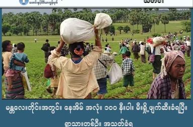 မန္တလေးတိုင်းအတွင်း နေအိမ် အလုံး ၁၀၀ နီးပါး မီးရှို့ဖျက်ဆီးခံရပြီး ရွာသားတစ်ဦး အသတ်ခံရ သတင်းနှင့် မီဒီယာ ကွန်ရက်။ ၂၀၂၆ ခုနှစ်၊ ဇန္နဝါရီလ ၈ ရက်။ ညောင်ဦးတွင် စစ်ကော်မရှင် စစ်ကြောင်းက နေအိမ် အလုံးရေ ၁၀၀ နီးပါး ကို မီးရှို့ဖျက်ဆီးခဲ့သည့်အပြင် ရွာသားတစ်ဦးကိုလည်း သတ်ဖြတ်ခဲ့သည်ဟု ဒေသခံများက ပြောသည်။ မန္တလေးတိုင်း၊ ညောင်ဦးမြို့နယ်ရှိ ကျေးရွာများကို စစ်ကော်မရှင်တပ်က လက်နက်ကြီးများ ပစ်ကူကာ ၄ ရက် ဆက်တိုက် စစ်ကြောင်းထိုး စီးနင်းခဲ့ပြီးနောက်၊ ကျေးရွာ ၆ ရွာမှ နေအိမ် အလုံးရေ ၁၀၀ နီးပါးကို မီးရှို့ဖျက်ဆီး ခဲ့သည့်အပြင် အရပ်သားတစ်ဦးကိုလည်းနှိပ်စက်သတ်ဖြတ်ခဲ့သည်။ အင်အား ၂၀၀ ကျော်ပါဝင်သည့် စစ်ကော်မရှင် စစ်ကြောင်းသည် ဇန်နဝါရီလ ၄ ရက်နေ့မှ စတင်ကာ ညောင်ဦး-ကျောက်ပန်းတောင်း ကားလမ်း အနောက်ဘက်ခြမ်းသို့ လက်နက်ကြီးများ ပစ်ခတ်ကာ စစ်ကြောင်းထိုး ဝင်ရောက်လာခဲ့ခြင်း ဖြစ်သည်။ အဆိုပါစစ်ကြောင်းသည် ဇီးစမြင်၊ ကျောက်ပြင်ကန်၊ ဇက၊ ကြအို၊ ကြအိုကျွန်းနှင့် မီးလောင်ဖျားကျေးရွာများကို တစ်ရွာဝင်တစ်ရွာထွက် စီးနင်းကာ နေအိမ်များအတွင်းရှိ တန်ဖိုးကြီးပစ္စည်းများကို ယူဆောင်ခြင်းနှင့် အိမ်မွေး တိရစ္ဆာန်များကို သတ်ဖြတ်စားသောက်ခြင်းများ ပြုလုပ်ခဲ့ကြသည်ဟု ဒေသခံများက ပြောသည်။ ဇီးစမြင်ရွာသားတစ်ဦးက ၎င်းတို့ကြုံတွေ့ခဲ့ရသည့် အခြေအနေကို ယခုကဲ့သို့ ပြောပြသည်။ “အဝေးကနေပြီး ရွာထဲကို လက်နက်ကြီးနဲ့ လှမ်းထုတာ၊ နောက်မှဝင်လာပြီး ဗြောင်းဆန်အောင် မွှေနှောက်ပြီး စိတ်ကြိုက်ဖြစ်တော့မှ အိမ်တွေကို မီးရှို့သွားတာ။ ကြက်၊ ဝက်၊ ဆိတ် ဆိုတာကတော့ သတ်ပြီး ချက်စားသွား ကြတာပေါ့။” ဇန်နဝါရီလ ၅ ရက်နေ့တွင်မူ ကျောက်ပြင်ကန်ရွာအတွင်းသို့ လက်နက်ကြီးကျည် ကျရောက်ပေါက်ကွဲသဖြင့် ရွာသား ၂ ဦး ဒဏ်ရာရရှိခဲ့ပြီး၊ ထိုအထဲမှ ပေါင်တွင် ဒဏ်ရာရရှိထားသဖြင့် မပြေးနိုင်သည့် အမျိုးသားတစ်ဦးကို စစ်ကော်မရှင်တပ်က ဖမ်းဆီးကာ ဓားဖြင့် မွှန်းနှိပ်စက်၍ သတ်ဖြတ်ခဲ့သည်။ ကျောက်ပြင်ကန်ရွာသားတစ်ဦးက “ပေါင်ထိတဲ့သူက မပြေးနိုင်ဘဲ အဖမ်းခံရပြီး အသတ်ခံလိုက်တာ။ ဓားနဲ့ မွှန်းသွားတဲ့ ဒဏ်ရာတွေ မြင်မကောင်းဘူး။ ရွာထဲက အိမ်တွေနဲ့ ကား၊ ဆိုင်ကယ်တွေကိုလည်း မီးရှို့သွားတယ်” ဟု ဆိုသည်။ ထို့ပြင် ကြအိုကျွန်းကျေးရွာရှိ နေအိမ်များကို မီးရှို့ဖျက်ဆီးရုံသာမက ကျေးရွာသား ၃၀ ကျော်ကိုလည်း စစ်ကြောင်းနှင့်အတူ ဖမ်းဆီးခေါ်ဆောင်သွားခဲ့ပြီး၊ ဖမ်းဆီးခံရသူများကို ပြန်လည်လွတ်မြောက်ရန် ငွေကြေးဖြင့် လာရောက်ရွေးခိုင်းနေကြောင်း ကြအိုကျွန်းရွာမှ အမျိုးသမီးတစ်ဦးက ပြောပြသည်။ ညောင်ဦးမြို့နယ်အတွင်းရှိ ကျေးရွာများသည် ပြီးခဲ့သည့် ၂၀၂၅ ခုနှစ် မေလအတွင်းကလည်း ယခုကဲ့သို့ စစ်ကော်မရှင်၏ စစ်ကြောင်းထိုးမှုများကြောင့် ဒေသခံသောင်းနှင့်ချီ၍ ဘေးလွတ်ရာသို့ ထွက်ပြေးတိမ်းရှောင်ခဲ့ရ သည့် ဖြစ်စဉ်များ ရှိခဲ့သည်။ လက်ရှိတွင် အဆိုပါ စစ်ကော်မရှင် စစ်ကြောင်းသည် မီးလောင်ဖျားကျေးရွာဘက်သို့ လက်နက်ကြီးများ ပစ်ခတ် ကာ ဆက်လက်စစ်ကြောင်းထိုးနေသဖြင့် အနီးနားရှိ ကျေးရွာပေါင်းများစွာမှ ပြည်သူများမှာ စိုးရိမ်ထိတ်လန့်ကာ တောတောင်များအတွင်းသို့ ထပ်မံတိမ်းရှောင်နေကြရသည်။  ဓါတ်ပုံ - ပုံဟောင်း  