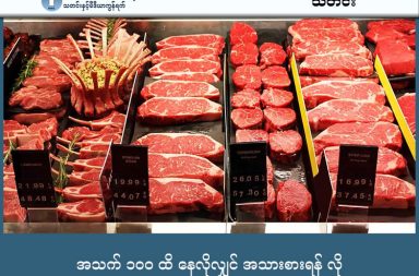 အသက် ၁၀၀ ထိ နေလိုလျှင် အသားစားရန် လို သတင်းနှင့် မီဒီယာ ကွန်ရက်။ ၂၀၂၆ ခုနှစ်ဇန္နဝါရီလ ၂၈ ရက်။ အသက် ၈၀ ကျော် အရွယ်ရှိ တရုတ်လူမျိုး ၅,၀၀၀ ကျော်ကို နှစ်ပေါင်း ၂၀ ကြာ စောင့်ကြည့်လေ့လာ ခဲ့သည့် သုတေသနအသစ်အရ အသားစားသုံးသူများသည် အသက် ၁၀၀ ပြည့်သည်အထိ နေထိုင်နိုင်ရန် အလားအလာ ပိုမိုများပြားကြောင်း တွေ့ရှိရသည်။ ဤတွေ့ရှိချက်သည် ယခင်က အပင်အခြေခံ စားသောက်မှု (Vegetarian) သည် ကျန်းမာရေးအတွက် ပိုမိုကောင်းမွန်သည်ဟူသော အဆိုပြုချက်များနှင့် ကွဲလွဲနေသည်။ သုတေသနပညာရှင်များ၏ အဆိုအရ အသက် ၈၀ ကျော်လာသောအခါ လူ့ခန္ဓာကိုယ်တွင် ကြွက်သားထုနှင့် အရိုးသိပ်သည်းဆများ သိသိသာသာ လျော့နည်းလာပြီး အစာစားချင်စိတ်လည်း ကျဆင်းလာတတ်သည်။ ထို့ကြောင့် အသက်အလွန်ကြီးရင့်လာချိန်တွင် ရောဂါကာကွယ်ရေးထက် "ကိုယ်အလေးချိန် မကျဆင်းစေရန်နှင့် ကြွက်သားများ မဆုံးရှုံးစေရန်" ထိန်းသိမ်းခြင်းက ပိုမိုအရေးကြီးလာသည်။ သို့သော် ဤတွေ့ရှိချက်သည် ကိုယ်အလေးချိန် မပြည့်မီသူ (Underweight) များအတွက် ပိုမိုသက်ဆိုင်ပြီး၊ ကိုယ်အလေးချိန် ပုံမှန်ရှိသည့် သက်သတ်လွတ်သမားများအတွက်မူ အသက် ၁၀၀ ပြည့်ရန် အလားအလာ လျော့နည်းခြင်း မရှိကြောင်း ဆိုသည်။ ထို့ပြင် အသားလုံးဝ မစားသော်လည်း ငါး၊ ဥနှင့် နို့ထွက်ပစ္စည်း စားသုံးသူများသည် အသားစားသူများကဲ့သို့ပင် အသက်ရှည်ရန် အခွင့်အလမ်း တူညီကြသည်။ အကြောင်းမှာ ယင်းအစားအစာများက လိုအပ်သော ပရိုတင်း၊ ဗီတာမင် B12 နှင့် D ဓာတ်တို့ကို ဖြည့်ဆည်းပေးနိုင်သောကြောင့်ဖြစ်သည်။ ထို့ကြောင့် အသက် ၈၀ ကျော်အရွယ်တွင် အာဟာရချို့တဲ့မှု မဖြစ်စေရန်နှင့် အသက် ၁၀၀ အထိ အသက်ရှည်နိုင်ရန်အတွက် အသား သို့မဟုတ် အာဟာရပြည့်ဝသော အစားအစာများကို စနစ်တကျ ရွေးချယ်စားသုံးသင့်ကြောင်း သုတေသီများက အကြံပြုထားသည်။