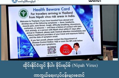 ထိုင်းနိုင်ငံတွင် နီပါး ဗိုင်းရပ်စ် (Nipah Virus) ကာကွယ်ရေး လုပ်ငန်းများစတင် သတင်းနှင့် မီဒီယာ ကွန်ရက်။ ၂၀၂၆ ခုနှစ်၊ ဇန္နဝါရီလ ၂၆ ရက်။ ထိုင်းနိုင်ငံတွင် အိန္ဒိယမှ စတင်ဖြစ်ပွားလာသော နီပါးဗိုင်းရပ်စ် (Nipah virus) ကူးစက်ပြန့်ပွားမှုကို ကာကွယ်ရန်အတွက် ကိုဗစ်-၁၉ ကာလက ကျင့်သုံးခဲ့သည့် ရောဂါထိန်းချုပ်ရေး လုပ်ငန်းစဉ်များကို ပြန်လည်အသုံးပြုနေပြီဖြစ်ကြောင်း ထိုင်းဝန်ကြီးချုပ် အနူတင် ချန်ဝီရာကူးလ်က တနင်္ဂနွေနေ့တွင် ပြောကြားခဲ့သည်။ လက်ရှိတွင် ထိုင်းနိုင်ငံ၌ နီပါးဗိုင်းရပ်စ် ကူးစက်ခံရသူ မရှိသေးသော်လည်း ကျန်းမာရေးစစ်ဆေးမှု စနစ်များကို ကိုဗစ်-၁၉ ကူးစက်မှုကာလက အသုံးပြုခဲ့သည့် စံနမူနာများအတိုင်း ပြန်လည်ပြင်ဆင်ပြီး ထိရောက်စွာ ဆောင်ရွက်သွားမည် ဖြစ်သည်။ ဤဗိုင်းရပ်စ်မှာ တိရစ္ဆာန်မှ လူကို ကူးစက်သော ဗိုင်းရပ်စ် ဖြစ်ပြီး လင်းနို့များမှ တဆင့် ကူးစက်သည်ဟု ဆိုသည်။ ထို့ပြင် လူလူချင်းလည်း လူမှ ထွက်သော အရည်များကို ထိတွေ့မိချင်းဖြင့် ကူးစက်နိုင်သည်။ ကူးစက်ခံရပါက သေဆုံးနှုန်း သေဆုံးနှုန်း မြင့်မားပြီး  ၄၀% မှ ၇၅% အထိ ရှိနိုင်သည်ဟု ဆိုသည်။ ဤဗိုင်းရပ်စ်အတွက် ကုသရန် ဆေး သို့မဟုတ် ကာကွယ်ဆေး မရှိသေးသောကြောင့် ရောဂါဖြစ်ပွားနိုင်ခြေရှိသည့် နိုင်ငံများမှ လာရောက်သူများကို ပိုမိုတင်းကျပ်စွာ စစ်ဆေးသွားမည် ဖြစ်သည်။ အိန္ဒိယနိုင်ငံတွင် ဖြစ်ပွားနေသည့် နီပါးဗိုင်းရပ်စ်နှင့် ပတ်သက်၍ အလွန်အမင်း စိုးရိမ်ခြင်းမရှိရန် ဝန်ကြီးချုပ်က ပြောကြားခဲ့သည်။ အကြောင်းမှာ ဤဗိုင်းရပ်စ်သည် လေထဲမှတဆင့် မကူးစက်ဘဲ ခန္ဓာကိုယ်ထွက်ရည်များမှတဆင့်သာ ကူးစက်ခြင်းကြောင့် ဖြစ်သည်။ ပြည်သူများအနေဖြင့် ပုံမှန်အတိုင်း နေထိုင်နိုင်ပြီး အစားအစာကို ပူပူနွေးနွေးစားခြင်း၊ ဟင်းခက်ဇွန်းအသုံးပြုခြင်း၊ လက်ကို မကြာခဏ ဆေးကြောခြင်းနှင့် လက်ဆွဲနှုတ်ဆက်ခြင်းများကို ရှောင်ကြဉ်ခြင်း စသည့် ကျန်းမာရေးအလေ့အကျင့်များကို လိုက်နာရန် တိုက်တွန်းထားသည်။ ဆေးဘက်ဆိုင်ရာ သိပ္ပံဌာန ညွှန်ကြားရေးမှူးချုပ် ဒေါက်တာ နတ်သဖွန်းက ရောဂါဖြစ်ပွားလာပါက အသင့်ဖြစ်စေရန်အတွက် - လက်အောက်ခံ ဆေးရုံများတွင် ကျွမ်းကျင်ဝန်ထမ်းများ၊ သီးသန့်လူနာဆောင်များ (Isolation Wards) နှင့် လိုအပ်သော ဆေးဝါးပစ္စည်းများကို အသင့်ပြင်ထားရန် ညွှန်ကြားထားသည်။ ဘန်ကောက်ရှိ Rajavithi ဆေးရုံ နှင့် (Queen Sirikit) ကွင်းသီရိခေတ် ကလေးကျန်းမာရေးဌာန အပါအဝင် အဓိက ဆေးရုံကြီးများတွင် ဘေးကင်းလုံခြုံရေး လမ်းညွှန်ချက်များကို လိုက်နာကျင့်သုံးရန် ညွှန်ကြားထားသည်။ ရောဂါလက္ခဏာများ နီပါးဗိုင်းရပ်စ် ကူးစက်ခံရပါက စတင်ကူးစက်သည်မှ ရောဂါ ဖြစ်ပွားသည်အထိ ပျိုးကာလမှာ ပုံမှန်အားဖြင့် ၄ ရက်မှ ၁၄ ရက် အထိ ကြာမြင့်တတ်ပြီး အောက်ပါလက္ခဏာများ ပေါ်ပေါက်တတ်ပါသည်။ • ကနဦးလက္ခဏာများ: ဖျားခြင်း၊ ပြင်းထန်စွာ ခေါင်းကိုက်ခြင်း၊ ချောင်းဆိုးခြင်း၊ လည်ချောင်းနာခြင်းနှင့် ကြွက်သားများ နာကျင်ကိုက်ခဲခြင်း စသည့် တုပ်ကွေးနှင့်ဆင်တူသော လက္ခဏာများ ခံစားရတတ်သည်။ • ပြင်းထန်သည့် အခြေအနေ: ရောဂါအခြေအနေ ဆိုးရွားလာပါက မူးဝေခြင်း၊ သတိလစ်ခြင်းနှင့် စိတ်ရှုပ်ထွေးခြင်းများ ဖြစ်ပေါ်တတ်ပြီး နောက်ဆက်တွဲ ပြဿနာအနေဖြင့် ဦးနှောက်ရောင်ရမ်းခြင်း (Encephalitis) အထိ ဖြစ်ပွားနိုင်သည်။ • အသက်ရှူလမ်းကြောင်းဆိုင်ရာ: အသက်ရှူရခက်ခဲခြင်းနှင့် အဆုတ်ရောင်ခြင်း စသည့် ဝေဒနာများကိုလည်း ပြင်းထန်စွာ ခံစားရနိုင်သည်။ ကူးစက်နိုင်သည့် နည်းလမ်းများ နီပါးဗိုင်းရပ်စ်သည် တိရစ္ဆာန်မှ လူသို့သော်လည်းကောင်း၊ လူအချင်းချင်းသော်လည်းကောင်း အောက်ပါအတိုင်း ကူးစက်နိုင်ပါသည်။ • တိရစ္ဆာန်မှတစ်ဆင့် ကူးစက်ခြင်း: ဗိုင်းရပ်စ်ပိုး ရှိနေသော လင်းနို့များ ကိုက်ထားသည့် သစ်သီးဝလံများကို စားမိခြင်း သို့မဟုတ် ရောဂါပိုးရှိသော ဝက်များနှင့် တိုက်ရိုက်ထိတွေ့မိခြင်းတို့မှတစ်ဆင့် ကူးစက်နိုင်ပါသည်။ • လူချင်းကူးစက်ခြင်း: ရောဂါပိုးရှိသူ၏ တံတွေး၊ ဆီးနှင့် သွေး စသည့် ခန္ဓာကိုယ်မှ ထွက်သော အရည်များနှင့် တိုက်ရိုက်ထိတွေ့မိခြင်းကြောင့် ကူးစက်နိုင်ပါသည်။ (သို့ရာတွင် ဤဗိုင်းရပ်စ်သည် လေထဲမှတစ်ဆင့် ကူးစက်ခြင်း မရှိကြောင်း သိရှိရပါသည်။) ကာကွယ်ရမည့် နည်းလမ်းများ လက်ရှိအချိန်အထိ နီပါးဗိုင်းရပ်စ်အတွက် ထိရောက်သော ကုသဆေးနှင့် ကာကွယ်ဆေးများ ရှာဖွေတွေ့ရှိခြင်း မရှိသေးသဖြင့် အောက်ပါနည်းလမ်းများဖြင့် ကြိုတင်ကာကွယ်ရန် အထူးအရေးကြီးပါသည်။ • သစ်သီးဝလံများကို သတိပြုခြင်း: တိရစ္ဆာန်များ ကိုက်ထားသည့် လက္ခဏာရှိသော အသီးအနှံများကို စားသုံးခြင်းမှ လုံးဝရှောင်ကြဉ်ရပါမည်။ သစ်သီးများကို မစားသုံးမီ စင်ကြယ်စွာ ဆေးကြောခြင်းနှင့် အခွံနွှာ၍ စားသုံးခြင်းတို့ကို ပြုလုပ်ရပါမည်။ • တိရစ္ဆာန်များနှင့် ထိတွေ့မှုကို ရှောင်ကြဉ်ခြင်း: ဖျားနာနေသော ဝက်များ သို့မဟုတ် လင်းနို့များနှင့် ထိတွေ့မှုကို တတ်နိုင်သမျှ ရှောင်ကြဉ်ရပါမည်။ • တစ်ကိုယ်ရေသန့်ရှင်းရေး ဂရုပြုခြင်း: လက်ကို ဆပ်ပြာနှင့် ရေဖြင့် မကြာခဏ စနစ်တကျ ဆေးကြောရပါမည်။ • အစားအစာကို ကျက်အောင်ချက်ပြုတ်ခြင်း: အစားအစာများကို သန့်ရှင်းလတ်ဆတ်စွာ ပြင်ဆင်ပြီး သေချာစွာ ကျက်အောင် ချက်ပြုတ်စားသောက်ရပါမည်။ Photo:กรมควบคุมโรค กระทรวงสาธารณสุข