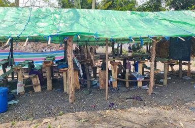 ရွှေဘို အနောက်ခြမ်း ဗုံးကြဲမှု ဆရာတော်တစ်ပါးနှင့် အမျိုးသမီး တစ်ဦးသေဆုံး   သတင်းနှင့် မီဒီယာ ကွန်ရက်။ ၂၀၂၆ ခုနှစ်၊ ဧပြီလ ၈ ရက်။   စစ်ကိုင်းတိုင်းဒေသကြီး၊ ရွှေဘိုမြို့နယ်အနောက်ခြမ်းရှိ စစ်ရှောင်စာသင်ကျောင်းကို စစ်ကော်မရှင်တပ်က လေကြောင်းမှ ဗုံးကြဲခဲ့ရာ ဆရာတော်တစ်ပါးနှင့် အမျိုးသမီးတစ်ဦး သေဆုံးခဲ့သည်။   ရွှေဘိုတွင် စစ်ဘေးရှောင်ကလေးငယ်များ ပညာသင်ကြားနေသည့် ဘုန်းတော်ကြီးကျောင်းနှင့် စစ်ရှောင်စခန်းကို စစ်ကော်မရှင်က လေကြောင်းမှ ပစ်မှတ်ထား တိုက်ခိုက်ခဲ့သဖြင့် ဆရာတော်တစ်ပါး ပျံလွန်တော်မူပြီး အမျိုးသမီးတစ်ဦး သေဆုံးသွားကြောင်း ဒေသခံများက ပြောသည်။   ရွှေဘိုမြို့နယ်၊ ဆင်အင်းကျေးရွာရှိ စစ်ရှောင်စာသင်ကျောင်းနေရာသို့ စစ်ကော်မရှင်က ဧပြီလ ၆ ရက်နေ့၊ နံနက်ပိုင်းတွင် ဂျက်ဖိုက်တာ တိုက်လေယာဉ်နှစ်စီးဖြင့် ခြောက်ကြိမ်ထက်မနည်း လာရောက် ဗုံးကြဲခဲ့ခြင်း ဖြစ်သည်။   ထိုသို့ ဗုံးကြဲချိန်တွင် တိုက်ပွဲဖြစ်ပွားနေခြင်းမျိုး မရှိဘဲ စစ်ရှောင်စခန်းကိုသာ တမင်ပစ်မှတ်ထားခြင်းဖြစ်သည်ဟု ဒေသခံများက ဆိုသည်။   မြေပြင်သတင်းရင်းမြစ်က “ကလေးတွေ စာသင်နေတဲ့ ဘုန်းကြီးကျောင်းကို ဂျက်ဖိုက်တာနှစ်စီးနဲ့ တစ်လှည့်စီ ပတ်ပြီး ဗုံးကြဲသွားတာဗျ။ ဗုံးကြဲရုံတင်မကဘူး၊ စက်သေနတ်တွေနဲ့ပါ ဝဲပြီး ပစ်သေးတာ။ ကျောင်းထဲက ဆရာတော်ကတော့ နေရာတင် ပျံလွန်တော်မူတယ်။ ဒကာမကြီးတစ်ယောက်လည်း ခြေထောက်ပြတ်ပြီး အဲ့ဒီ ဒဏ်ရာနဲ့ပဲ သေသွားရရှာတယ်” ဟု ပြောသည်။   အဆိုပါ တိုက်ခိုက်မှုကြောင့် ကျောင်း၌ သတင်းသုံးနေသည့် သက်တော် (၅၀) ကျော်အရွယ် ဆရာတော်မှာ နေရာ၌ပင် ပျံလွန်တော်မူခဲ့ပြီး၊ အသက် (၆၀) ခန့်ရှိ အမျိုးသမီးကြီးတစ်ဦးမှာလည်း ခြေထောက်ပြတ်တောက် သည့် ဒဏ်ရာဖြင့် သေဆုံးသွားခဲ့ခြင်းဖြစ်သည်။   ထို့အပြင် အခြားစစ်ဘေးရှောင် ၃ ဦးလည်း ဒဏ်ရာအပြင်းအထန် ရရှိထားသဖြင့် အရေးပေါ် ဆေးကုသမှု ခံယူနေရသည်။   ဒေသခံတစ်ဦးကလည်း “ကျနော်တို့မှာ ဘာတိုက်ပွဲမှလည်း မရှိဘဲနဲ့ လေယာဉ် ဗုံးဒဏ်ကို ခံလိုက်ရတာ။ ကျောင်းဆောင်တွေလည်း မြေစာပုံဖြစ်ကုန်ပြီ။ ကလေးတွေ ပညာသင်နေတဲ့ နေရာတွေကိုမှ ပစ်မှတ်ထား တာကတော့ လူမဆန်တဲ့ လုပ်ရပ်လို့ပဲ ပြောရမှာပဲဗျ” ဟု ပြောသည်။   စစ်ကော်မရှင်၏ စက်သေနတ်ဖြင့် ပစ်ခတ်မှုနှင့် ဗုံးဒဏ်ကြောင့် စာသင်ကျောင်းဆောင်နှင့် ဘုန်းကြီးကျောင်း အတွင်းရှိ အဆောက်အအုံများစွာ ပြိုကျပျက်စီးခဲ့ရသည်။   ဆင်အင်းကျေးရွာသည် ဧပြီလ ၃ ရက်နေ့ကလည်း လေကြောင်းတိုက်ခိုက်မှု ခံခဲ့ရသဖြင့် လူ ၇ ဦး ဒဏ်ရာရ ရှိခဲ့ဖူးပြီး ယခုအခါ အရပ်သားသေဆုံးမှုပါ ရှိလာခြင်း ဖြစ်သည်။   လက်ရှိတွင် ရွှေဘိုမြို့နယ် အနောက်ခြမ်းရှိ ကျေးရွာများမှာ စစ်ကော်မရှင်၏ လေကြောင်းရန်ကို အမြဲတစေ စိုးရိမ်နေကြရပြီး၊ စစ်ရှောင်များမှာလည်း ဘေးလွတ်ရာသို့ ထပ်မံ တိမ်းရှောင်နေကြရသည်။   #ရွှေဘိုမြို့နယ် #ဆင်အင်းရွာ #စစ်ကိုင်းတိုင်း  