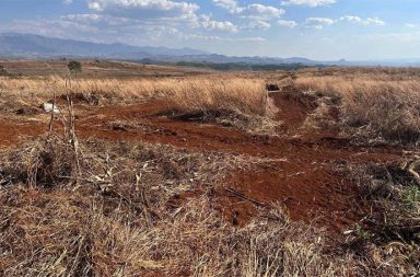 ပအိုဝ်း ပြည်သူစစ် အဖွဲ့က မြေယာများသိမ်းဆည်း   သတင်းနှင့် မီဒီယာ ကွန်ရက်။ ၂၀၂၆ ခုနှစ်၊ ဧပြီလ ၈ ရက်။   ရှမ်းပြည်နယ်တောင်ပိုင်း၊ ပအိုဝ်းကိုယ်ပိုင်အုပ်ချုပ်ခွင့်ရဒေသ၊ ဟိုပုံးမြို့နယ်အတွင်းရှိ ပအိုဝ်းတောင်သူများ၏ မြေယာဧက သောင်းချီ အဓမ္မသိမ်းဆည်းခံရပြီး စိုက်ပျိုး၍မရသည့် မြေကွက်ငယ်များဖြင့် အစားထိုးခံနေရ သည်။   ပအိုဝ်းတိုင်းရင်းသား တောင်သူများ ပိုင်ဆိုင်သည့် မြေယာဧက တစ်သောင်းရှစ်ထောင်ကျော်ကို စစ်ကော်မရှင်နှင့် လက်အောက်ခံ ပအိုဝ်းပြည်သူ့စစ် (PNA) အဖွဲ့က မြို့ပြစီမံကိန်းအကြောင်းပြကာ အဓမ္မ သိမ်းယူနေပြီး၊ အစား ပြန်ပေးသည့် မြေကွက်ငယ်များမှာ တောင်သူများအတွက် အသက်မွေးဝမ်းကျောင်းပြုရန်ပင် လုံးဝမလုံလောက် ကြောင်း ဒေသခံများက ပြောသည်။   ဟိုပုံးမြို့နယ်၊ ညောင်ဗက်ကျေးရွာရှိ တောင်သူများပိုင်ဆိုင်သော မြေဧက ၁၄,၀၀၀ ကျော်အပါအဝင် မြို့နယ် အတွင်းရှိ မြေယာများကို PNA နှင့် မြေပွဲစားများ ပူးပေါင်းကာ သိမ်းယူနေခြင်းဖြစ်ပြီး၊ အစားပြန်ပေးသည့် ပေ ၂၀ - ၄၀ ခန့်သာရှိသော မြေကွက်ငယ်များကိုပင် ငွေကျပ်သိန်း ၅၀ ဖြင့် ပြန်လည်ရောင်းချနေသည်ဟု ဆိုသည်။   ဒေသခံတောင်သူတစ်ဦးက “ပအိုဝ်းပြည်သူတွေအနေနဲ့ ယာမြေ ပေ ၂၀ - ၅၀ ဆိုတာက အသက်မွေးဝမ်း ကျောင်း ပြုလို့ မရပါဘူး။ ပအိုဝ်းပြည်သူတွေအနေနဲ့ ကိုယ့်ရဲ့အသက်မွေးဝမ်းကျောင်းပြုဖို့အတွက်က လယ် ယာတွေ၊ တောင်ယာတွေရှိဖို့ လိုပါတယ်။ ဒါကြောင့်ပဲ ပအိုဝ်းပြည်သူတွေရဲ့ မြေကို ဒီလိုမျိုး သိမ်းဆည်းနေတာ ဟာ ပြည်သူလူထုရဲ့ ဘဝကို သတ်ဖြတ်လိုက်တာနဲ့ အတူတူပဲလို့ ကျနော် ပြောချင်ပါတယ်” ဟု ပြောသည်။   အဆိုပါမြေယာများကို ပြီးခဲ့သည့် မတ်လ ၃၀ ရက်နေ့တွင် PNA အဖွဲ့၊ ထွေအုပ်နှင့် မြေပွဲစားများ ရောက်ရှိလာ ပြီး အဓမ္မသိမ်းယူခဲ့ခြင်းဖြစ်သည်။   ထိုသို့သိမ်းယူစဉ် ဒေသခံများနှင့် PNA အဖွဲ့တို့အကြား ရုန်းရင်းဆန်ခတ် ဖြစ်ပွားခဲ့ရာ ဒေသခံ ၁၀ ဦးကို ဟိုပုံး ရဲစခန်း၌ ဖမ်းဆီးထိန်းသိမ်းခဲ့သည်။   ထို့နောက် ဧပြီလ ၆ ရက်နေ့၊ မွန်းလွဲပိုင်းတွင် ဖမ်းဆီးခံထားရသူများအနက် အမျိုးသား ၆ ဦးကို ပြန်လည် လွှတ်ပေးခဲ့သော်လည်း ၎င်းတို့မှာ ရိုက်နှက်နှိပ်စက်ခံထားရသည့် ဒဏ်ရာများ ရရှိထားကြောင်း နီးစပ်သူများက ပြောသည်။   နီးစပ်သူတစ်ဦးက “လွတ်လာတဲ့ ခြောက်ဦးကတော့ အကုန်လုံး အမျိုးသားတွေချည်းပါပဲ။ ဒဏ်ရာတွေတော့ ရထားကြတယ်၊ ရိုက်နှက်နှိပ်စက်ခံရတယ်လို့ သိရပါတယ်။ ကျန်တဲ့ လေးဦးကတော့ အမျိုးသမီး နှစ်ဦး၊ ရွာသူကြီးနဲ့ နောက်တစ်ဦး ကျန်နေသေးတယ်” ဟု ပြောသည်။   လက်ရှိတွင် ဖမ်းဆီးခံထားရသူများနှင့် ကျေးရွာရှိ အိမ်ထောင်စု ၆၆ စုကို ရွာမှ ပြောင်းရွှေ့ပေးမည်ဖြစ်ကြောင်း ခံဝန်ကတိလက်မှတ် ရေးထိုးခိုင်းထားကြောင်းလည်း ဆိုသည်။   ညောင်ဗက်ကျေးရွာရှိ မြေယာများကို ၁၉၉၂ ခုနှစ်ကတည်းက တပ်မတော်နည်းပညာ တက္ကသိုလ်နှင့် စစ်ဘက် ဆိုင်ရာ တပ်ရင်းများ တည်ဆောက်ရန် လျော်ကြေးမပေးဘဲ သိမ်းဆည်းခဲ့ခြင်းဖြစ်သည်။   ၂၀၁၅ ခုနှစ်တွင် အရပ်သားအစိုးရလက်ထက်၌ ပအိုဝ်းကိုယ်ပိုင်အုပ်ချုပ်ခွင့်ရဒေသ ဦးစီးအဖွဲ့ထံ ပြန်လည် လွှဲပြောင်းပေးခဲ့သော်လည်း ယခုအခါ စစ်ကော်မရှင် အဖွဲ့ဝင် ခွန်စံလွင်နှင့် PNO/PNA ခေါင်းဆောင်များက မြို့ပြစီမံကိန်းအကြောင်းပြကာ မြေပွဲစားများနှင့် ပူးပေါင်း၍ အကွက်ရိုက် ရောင်းစားနေခြင်းဖြစ်ကြောင်း ဒေသခံများက ပြောသည်။   တောင်သူများအနေဖြင့် ယခင်က တစ်ဦးလျှင် အနည်းဆုံး ၂ ဧကခန့် ပိုင်ဆိုင်ကြပြီး စိုက်ပျိုးရေး လုပ်ငန်းဖြင့် အသက်မွေးခဲ့ကြသော်လည်း ယခုအခါ စိုက်ပျိုး၍မရသည့် မြေကွက်ငယ်များဖြင့် အစားထိုးခံရကာ ဘဝ ရပ်တည်ရေးအတွက် အခက်အခဲများနှင့် ရင်ဆိုင်နေရသည်ဟု ပြောသည်။   #PNA #PNO #ပအိုဝ်းပြည်သူ့စစ် #ဟိုပုံးမြို့နယ် #ညောင်ဗက်ကျေးရွာ  