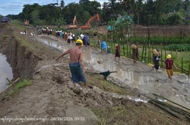 ညောင်တုန်း၌ တာဘောင်ပြိုကျ၍ မြို့ရွာအချို့ ရေစတင်ဝင်ရောက်   သတင်းနှင့် မီဒီယာ ကွန်ရက်။ ၂၀၂၆ ခုနှစ်၊ ဩဂုတ်လ ၂၆ ရက်။   ဧရာဝတီတိုင်း၊ ညောင်တုန်းမြို့နယ်အတွင်း ဧရာဝတီ မြစ်ခွဲ တိုးမြစ် တာဘောင်ကျိုးကျပြီး ရေများ ဝင်ရောက်လာသဖြင့် ဒေသခံများ စိုးရိမ်နေကြသည်။   ညောင်တုန်းမြို့နယ် ဂန်ချောင်းအုပ်စု၊ ချောင်းဖျားကျေးရွာရှိ ညောင်တုန်းကျွန်း (ဧရာဝတီ မြစ်ခွဲ) တာမိုင် (၁၁/၆) နှင့် (၁၁/၇) အကြား ဂန်ချောင်းထုံးဝ တာဘောင် ပြိုကျကျိုးပေါက်သွားခဲ့ခြင်း ဖြစ်သည်။   အဆိုပါ တာဘောင်မှာ ဩဂုတ်လ ၂၅ ရက် မနက် ၈ နာရီ ၂၀ မိနစ်အချိန်ခန့်တွင် မြစ်ရေတိုက်စားကာ ပြိုကျ ကျိုးပေါက်ခဲ့သဖြင့် လက်ရှိတွင် မြို့တွင်းနှင့် ရွာများအတွင်းသို့ ရေများ စတင်ဝင်ရောက်လာပြီ ဖြစ်သည်။   မြေပြင်တွေ ကူညီကယ်ဆယ်ရေး လုပ်နေသူ ဒေသခံတစ်ဦးက “ညောင်တုန်းမြို့နယ်၊ ချောင်းကြီးကျေးရွာအုပ်စု ချောင်းဖျားကျေးရွာမှာ ကျနော်တို့ မနေ့က ၂၅ ရက်နေ့ မနက်ပိုင်းက ဒီကာထားတဲ့ ကမ်းထိန်းတာက တခြမ်းပဲ့ ပြိုကျသွားတာပါ။ တာပေ ၁၀၀ ကျော်နီးပါးပေါ့နော် မြစ်ဘက်ကို တခြမ်းပဲ့ ပြိုကျသွားတာ ဖြစ်ပါတယ်။ မြစ်ရေအခြေအနေကလည်း မနေ့ကထက်စာရင် လက်ရှိ ဒီနေ့မှာ တက်လာနိုင်တယ်လို့လည်း ခန့်မှန်းရပါတယ်။ ဒါကို ထိန်းနိုင်ဖို့အတွက် အရံတာတွေ ဆောက်ဖို့ ဒီရေကိုထိန်းနိုင်ဖို့အတွက် အဓိက ဆောင်ရွက်နေကြပါတယ်” ဟု ပြောသည်။   အဆိုပါ တိုးမြစ်ရေကို ကာရံထားသည့် ရေကာတာမှာ လက်ရှိတွင် ပေ ၂၀၀ ဝန်းကျင် ပြိုကျထားပြီး ရေစီး ကြောင်းအရှိန်ကြောင့် ဒေသခံများ ဘေးလွတ်ရာသို့ စိုးရိမ်တကြီး ရွှေ့ပြောင်းနေကြရသည်။   ညောင်တုန်းဒေသခံ ကုန်သည်အမျိုးသားတစ်ဦးက “တာရဲ့ သုံးပုံနှစ်ပုံလောက် ပြိုကျတာ။ အခုအထိ မတားဆီး နိုင်သေးဘူး။ မိုးကလည်း ရွာနေပါသေးတယ်။ မိုးများရင် ဆည်အပေါက်ကို ဘယ်လိုမှ မနိုင်ဘူး။ ဝါးကတုတ် ရိုက်တာ၊ သဲဖို့တာ၊ သဲအိတ်စီတာလောက်နဲ့ မရဘူး။ အဲဒီတာဘောင်သာ အကုန် ကျိုးသွားခဲ့ရင် ညောင်တုန်း၊ မအူပင်၊ ကျိုက်လတ် စတဲ့ မြို့နယ်တွေနဲ့ ရန်ကုန်တိုင်းအတွင်းက ဒေသတွေမှာ ရေကြီးနိုင်တယ်လို့ လူတွေ ပြောနေကြတယ်” ဟု ပြောသည်။   တာကျိုးပေါက်မှုကြောင့် ရေဝင်ရောက်မှုများ ပိုမိုမဖြစ်ပေါ်စေရန် မီးသတ်တပ်ဖွဲ့ဝင်များ၊ သက်ဆိုင်ရာ အဖွဲ့ အစည်းများနှင့် ဒေသခံ ပြည်သူများ ပူးပေါင်း၍ ဝါးကတုတ်ရိုက်ခြင်း၊ သဲဖို့ခြင်းနှင့် သဲအိတ်စီခြင်း လုပ်ငန်းများ ကို ရေအကူအညီမဲ့ တားဆီးရန် ဆောင်ရွက်လျက်ရှိကြောင်း မြန်မာနိုင်ငံ မီးသတ်တပ်ဖွဲ့၏ ထုတ်ပြန်ချက်အရ သိရသည်။   အဆိုပါ ဂန်ချောင်းထုံးဝ တာဘောင်သည် ညောင်တုန်းမြို့နှင့် ၈ မိုင်ခန့်အကွာ ညောင်တုန်းမြို့နယ်နှင့် မအူပင်မြို့ နယ် အကြားတွင် တည်ရှိသည်။   ယခုအခါ ငဝန်မြစ်ရေ မြင့်တက်လာမှုကြောင့် လေးမျက်နှာနှင့် ငသိုင်းချောင်း မြို့နယ်များတွင် ရေကြီးရေလျှံမှု များ ဆက်တိုက် ဖြစ်ပွားခဲ့ပြီးနောက် ရေစီးကြောင်းသည် အောက်ပိုင်းသို့ စီးဆင်းလာကာ ချောင်းဖျားကျေးရွာရှိ တာဘောင်ပါ ကျိုးပေါက်သွားခြင်းဖြစ်သည်။   လက်ရှိတွင် ကူညီကယ်ဆယ်ရေး သမားများက တာဘောင်ပြိုကျသည့် ကျေးရွာ၊ နီးစပ်သည့် ပတ်ဝန်းကျင် ကျေးရွာများ အပြင် ညောင်တုန်းမြို့ပေါ် ရပ်ကွက်အချို့မှ ဒေသခံများကို ဘေးလွတ်ရာသို့ ရွှေ့ပြောင်းပေး လျက်ရှိသည်။       ညောင်တုန်းမြို့နယ်အတွင်း၌ စိုက်ပျိုးပြီးသား စပါးဧက ၃ သောင်းကျော်ရှိပြီး အဆိုပါ တာဘောင် အပြီးသတ် ကျိုးကျသွားပါက စပါးခင်းများ ပျက်စီးမည့်အပြင် ညောင်တုန်း၊ မအူပင်နှင့် ကျိုက်လတ်မြို့နယ်များအထိ ရေကြီးရေလျှံမှုများ ပိုမိုကျယ်ပြန့် လာနိုင်ကြောင်း ဒေသခံများက ပြောဆိုကြသည်။   #ညောင်တုန်း   ဓာတ်ပုံ - Crd