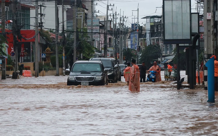 ထိုင်းမြောက်ပိုင်း ခရိုင် ၅ ခု၌ ရေကြီးရေလျှံ၊ ၂၄ နာရီ စောင့်ကြည့်ရန် ညွှန်ကြား   သတင်းနှင့် မီဒီယာ ကွန်ရက်။ ၂၀၂၆ ခုနှစ်၊ ဩဂုတ်လ ၁၀ ရက်။   ထိုင်းနိုင်ငံ မြောက်ပိုင်း ခရိုင်များ၌ ရေကြီးရေလျှံမှုများ ဖြစ်ပွားနေသဖြင့် ထိုင်းအစိုးရက ၂၄ နာရီ အနီးကပ် စောင့်ကြည့်ရန် ညွှန်ကြားထားသည်။   ချင်းရိုင်၊ ချင်းမိုင်၊ မယ်ဟောင်ဆောင်၊ နန့် နှင့် လန်းပန်း ခရိုင် ၅ ခုတွင် ရေကြီးရေလျှံမှုများ ကြုံတွေ့နေရခြင်း ဖြစ်သည်။   ချင်းရိုင်ခရိုင်၊ ဝီယံပါပေါင်း (Wiang Pa Pao) မြို့နယ်၊ ချင်းရိုင်-ချင်းမိုင် လမ်းမကြီးပေါ်တွင် ရုတ်တရက် ရေကြီးရေလျှံမှု ဖြစ်ပွားခဲ့သည်။ လတ်တလောတွင် ရေပြန်ကျသွားပြီဖြစ်၍ ယာဉ်များ ပုံမှန်သွားလာနိုင်သော်လည်း သတိထားမောင်းနှင်ကြရန် အသိပေးထားသည်။   မယ်ဟောင်ဆောင်ခရိုင်အတွင်းရှိ ဗန့်ခါ့ဟန် (Ban Khahan) ကျေးရွာတွင်လည်း ရုတ်တရက် တောင်ကျရေဆင်းလာသဖြင့် ဒေသခံများ အရေးပေါ် ပစ္စည်းရွှေ့ပြောင်းခဲ့ကြရသည်။   ချင်းမိုင်မြို့တွင်း ဖြတ်သန်းစီးဆင်းသည့် ပင်းမြစ် (Ping River) ရေလျှံတက်လာရာ ဝပ်ခက် (Wat Ket) ရပ်ကွက်ရှိ မြစ်ကမ်းဘေးဆိုင်များနှင့် စားသောက်ဆိုင်များအတွင်း ရေဝင်ရောက်ခဲ့သဖြင့် ဆိုင်အချို့ ခေတ္တပိတ်ထားရသည်။   ချင်းမိုင်နှင့် တစ်နာရီကျော်ခန့် ကွာဝေးသည့် လန်းပန်းခရိုင်၊ ဟန်ချတ် (Hang Chat) မြို့နယ်ရှိ မီးရထားသံလမ်းအောက် လမ်းကူးတွင် တောင်ကျရေကြောင့် ရေအမြင့် ၁ မီတာခန့်အထိ မြင့်တက်ခဲ့ပြီး ကျေးရွာအချို့သို့ သွားသည့် လမ်းများ ရေနစ်မြုပ်ကာ လျှပ်စစ်နှင့် လမ်းပန်းဆက်သွယ်ရေး အခက်အခဲများ ကြုံတွေ့နေရသည်။   နန့်ခရိုင်အတွင်း၌လည်း မြစ်ရေ လျှံတက်လာသဖြင့် မြစ်ကမ်းဘေး ကျေးရွာများရှိ နေအိမ် ၃၀ ထက်မက ရေဝင်ရောက်နေသည်။   လိုင်နန့် (Lai Nan) ကျောင်းတိုက်ရှေ့လမ်းတွင် ၁ မီတာကျော် ရေမြုပ်နေသဖြင့် ယာဉ်ငယ်များ သွားလာ၍ မရတော့ဘဲ သံဃာတော်များနှင့် ဒေသခံများ စုပေါင်းကာ သဲအိတ်တားဆီးမှုများ ပြုလုပ်နေကြရသည်။   ဘေးအန္တရာယ် တားဆီးကာကွယ်ရေး ဦးစီးဌာန (DDPM) က မိုးကြီးနိုင်သည့် ဒေသများနှင့် မြစ်ကမ်းဘေး နေထိုင်သူများအနေဖြင့် တောင်ပြိုမှု၊ ရုတ်တရက် ရေကြီးမှုများကို သတိပြုကြရန်နှင့် အဓိက ပစ္စည်းများနှင့် မော်တော်ယာဉ်များကို ဘေးလွတ်ရာ ကုန်းမြင့်များသို့ ကြိုတင်ရွှေ့ပြောင်းထားကြရန် အရေးပေါ် သတိပေးချက်များ ထုတ်ပြန်ထားသည်။   #ထိုင်းနိုင်ငံမြောက်ပိုင်း #ရေကြီးရေလျှံ #ချင်းမိုင် #မယ်ဟောင်ဆောင် #ချင်းရိုင်း
