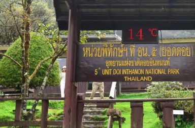 ဒွိုင်အင်ထနွန် အမျိုးသားဥယျာဉ်ရှိ အပန်းဖြေစခန်းနှစ်ခု တောင်ကျရေကြောင့် ခေတ္တပိတ်ထား သတင်းနှင့် မီဒီယာ ကွန်ရက်။ ၂၀၂၆ ခုနှစ်၊ စက်တင်ဘာလ ၂၁ ရက်။ ထိုင်းနိုင်ငံ၏ အမြင့်ဆုံးတောင်ထိပ်ဖြစ်သော ဒွိုင်အင်ထနွန် တည်ရှိရာ အမျိုးသားဥယျာဉ်အတွင်းရှိ အပန်းဖြေစခန်းနှစ်ခုကို တောင်ကျချောင်းရေ အန္တရာယ်ကြောင့် ခေတ္တပိတ်ထားကြောင်း အမျိုးသား ဥယျာဉ် အာဏပိုင်များက ကြေညာထားသည်။ ပိတ်ထားသည့် နေရာများမှာ ဖာဒေါ့စီယောင် သဘာဝလေ့လာရေးလမ်းကြောင်း (Pha Dok Siao Nature Trail) နှင့် မယ့်ယ ရေတံခွန်တို့ ဖြစ်ကြသည်။ တောင်ကျရေနှင့်အတူ နှုန်းမြေများ စီးဆင်းလာပြီး သစ်သားတံတားများ ပျက်စီးနိုင်ခြင်း၊ ရေစီးသန်သဖြင့် မျောပါသွားနိုင်ခြင်းတို့ကြောင့် ခရီးသွား ပြည်သူများ၏ ဘေးအန္တရာယ်အတွက် အရေးပေါ် ခေတ္တပိတ်ထားရခြင်းဖြစ်ကြောင်း The Nation သတင်းတွင် ဖော်ပြထားသည်။ အဆိုပါ နေရာများကို ရေဘေးအန္တရာယ် ကင်းရှင်းပြီး စိတ်ချရပြီဟု အမျိုးသားဥယျာဉ် တာဝန်ရှိသူများက အတည်ပြုပြီးမှသာ ပြန်လည်ဖွင့်လှစ်ပေးသွားမည်ဖြစ်သည်။ သို့ဖြစ်ပါ၍ ဒွိုင်အင်ထနွန်သို့ သွားရောက်လည်ပတ်မည့် ခရီးသွားများအနေဖြင့် တားမြစ်ထားသည့် နေရာများသို့ သွားရောက်ခြင်း မပြုကြရန်နှင့် ခရီးမထွက်ခွာမီ ဥယျာဉ်၏ တရားဝင် ဖေ့စ်ဘုတ်ခ်စာမျက်နှာ သို့မဟုတ် သတင်းပြန်ကြားရေးဌာနတို့၌ မိုးလေဝသ အခြေအနေများကို ကြိုတင်စုံစမ်းကြရန် မေတ္တာရပ်ခံထားသည်။ #ဒွိုင်အင်ထနွန်အမျိုးသားဥယျာဉ် #doiinthanonnationalpark
