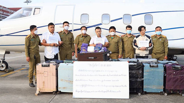 လာအိုတွင် မလေးရှားလေယာဉ်ပေါ်တင်သည့် မူးယစ်ဆေးများ ဖမ်းမိ သတင်းနှင့် မီဒီယာ ကွန်ရက်။ ၂၀၂၆ ခုနှစ်၊ အောက်တိုဘာလ ၇ ရက်။ လာအိုနိုင်ငံ၊ လွမ်ပရာဘန် (Luang Prabang) နိုင်ငံတကာလေဆိပ်၌ မလေးရှားမှ ပျံသန်းလာသည့် Learjet အမျိုးအစား ကိုယ်ပိုင်လေယာဉ်ပေါ်သို့ မူးယစ်ဆေးဝါးများ တင်ဆောင်နေစဉ် လာအိုရဲတပ်ဖွဲ့က ဝင်ရောက်စီးနင်းရာ အိုက်စ် (ခရစ္စတယ် မက်သဖက်တမင်း) ၅၂၁ ကီလိုဂရမ် ဖမ်းဆီးရမိခဲ့သည်။ ကြိုတင်သတင်းရရှိမှုအရ အာဏာပိုင်များက စောင့်ဆိုင်းစိစစ်ခဲ့ခြင်းဖြစ်သည်။ လေယာဉ်ဆိုက်ရောက်ပြီးနောက် လာအိုနိုင်ငံဘက်မှ မော်တော်ယာဉ်ဖြင့် သယ်ဆောင်လာသည့် ခရီးဆောင်အိတ် ၂၃ အိတ်အနက် ၂၁ အိတ်အတွင်းမှ အိုက်စ် မူးယစ်ဆေးဝါးများကို ရှာဖွေတွေ့ရှိခဲ့ခြင်းဖြစ်သည်။ အဆိုပါဖြစ်စဉ်နှင့် ပတ်သက်၍ မလေးရှားနိုင်ငံသား တစ်ဦးအပါအဝင် လေယာဉ်မှူး၊ တွဲဖက်လေယာဉ်မှူးနှင့် လေဆိပ်ဝန်ထမ်း ၇ ဦး အပါအဝင် စုစုပေါင်း ၁၃ ဦးကို ထိန်းသိမ်းထားသည်။ သက်သေခံ ကိုယ်ပိုင်လေယာဉ်နှင့် ပစ်ကပ်ကားတစ်စီးကို သိမ်းဆည်းထားပြီး မှောင်ခိုကူးသန်းမှု ကွန်ရက်တစ်ခုလုံးကို ပါဝင်ပတ်သက်သူများအား လာအိုအာဏာပိုင်များက ဆက်လက်စုံစမ်းစစ်ဆေးလျက်ရှိသည်။ Photo: LAO SECURITY NEWSPAPER/VIENTIANE TIMES